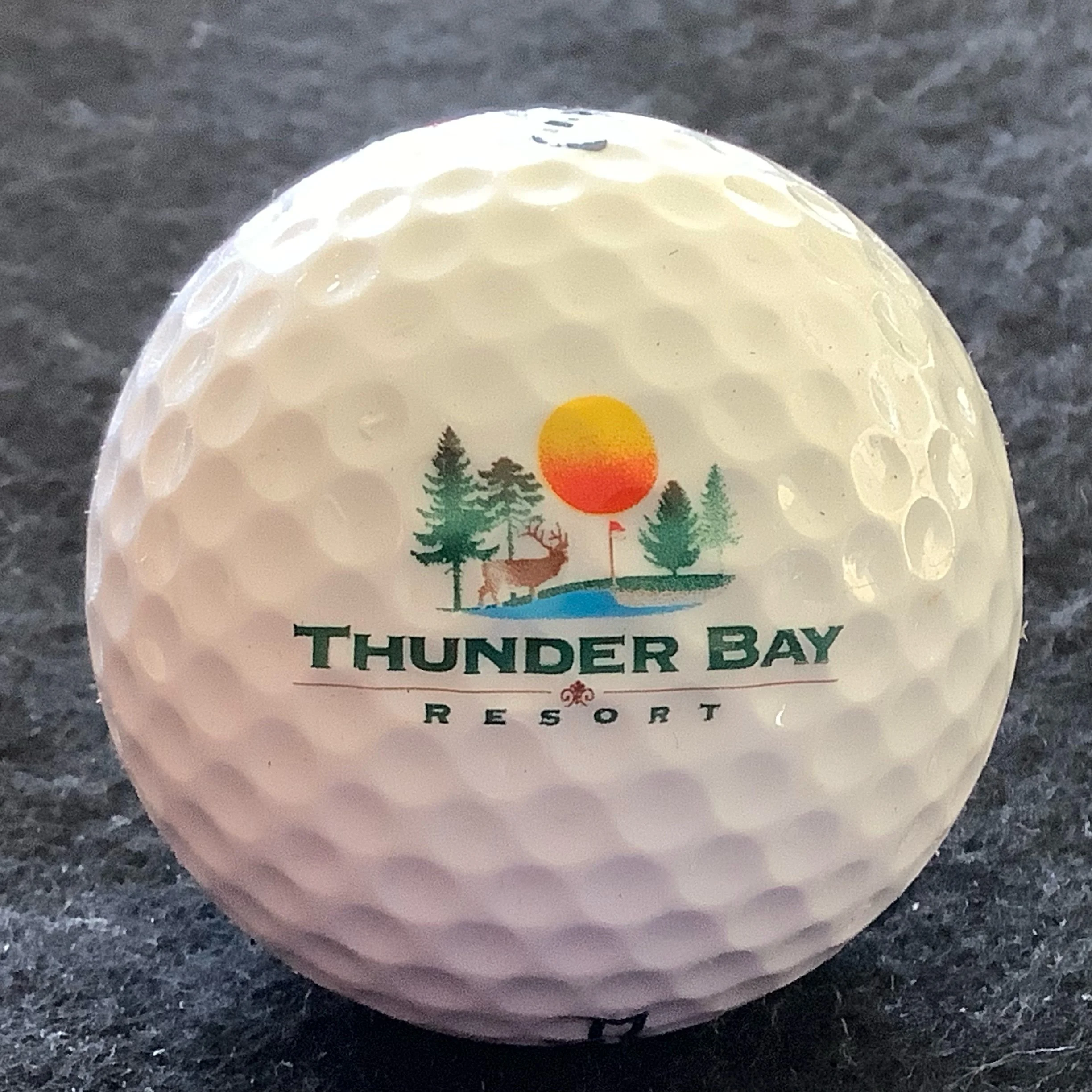 Thunder Bay Resort