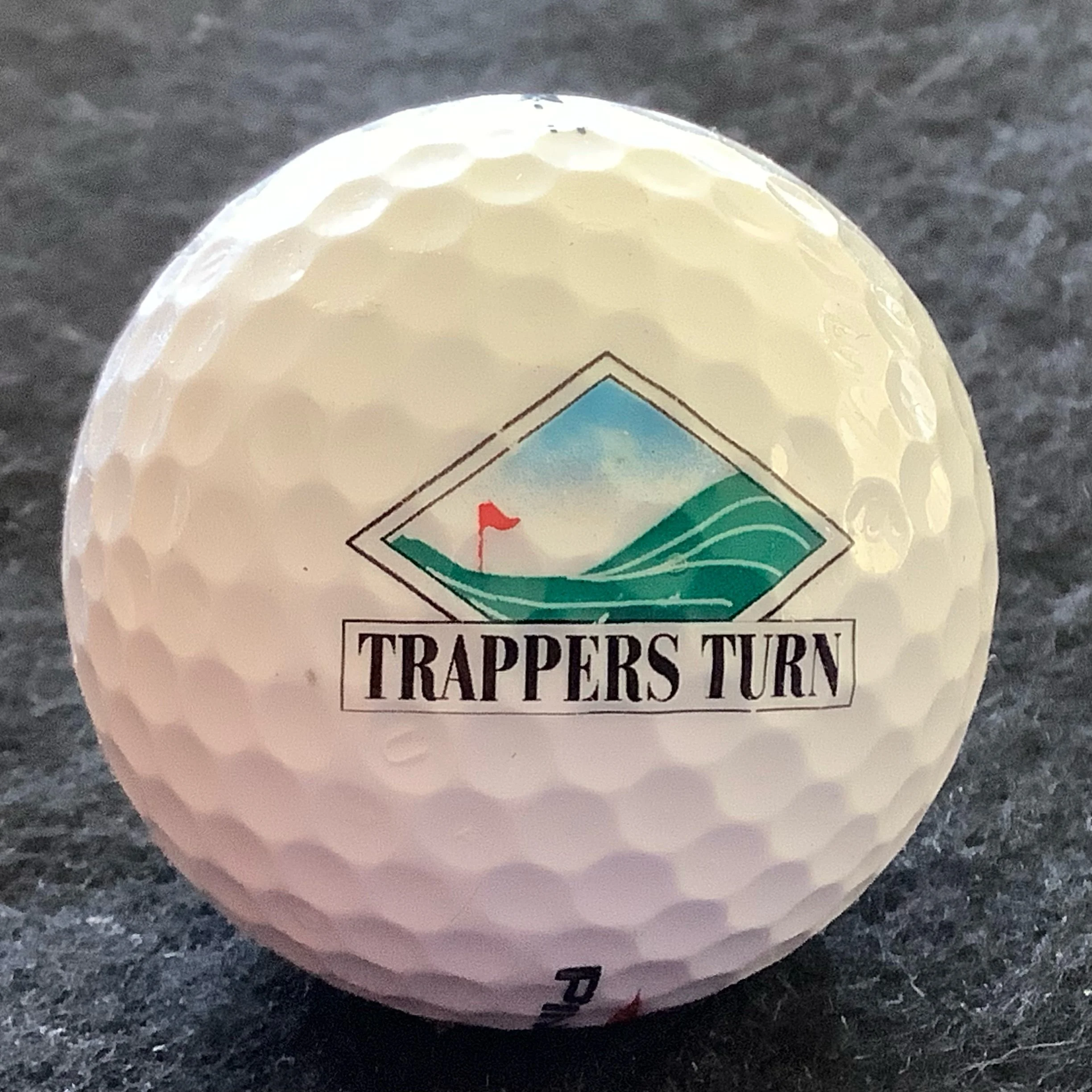 Trappers Turn Golf Club