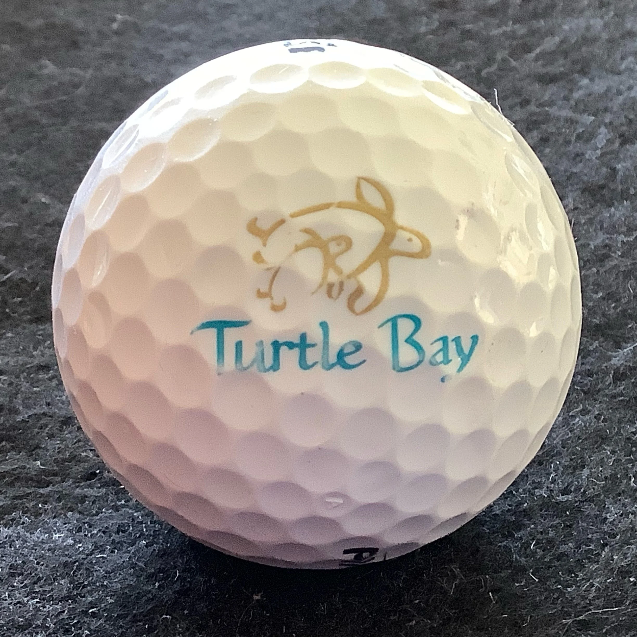 Turtle Bay Resort