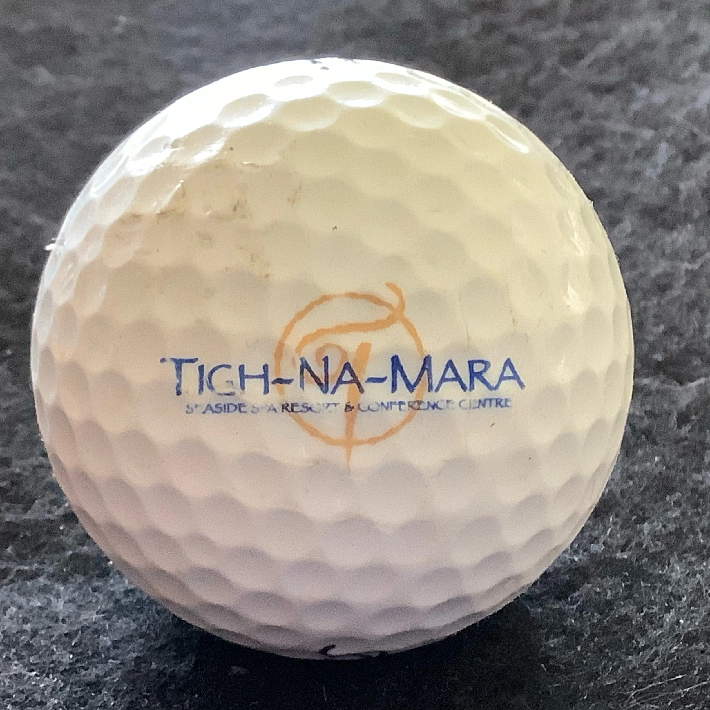 Tich-Na-Mara Seaside Resort