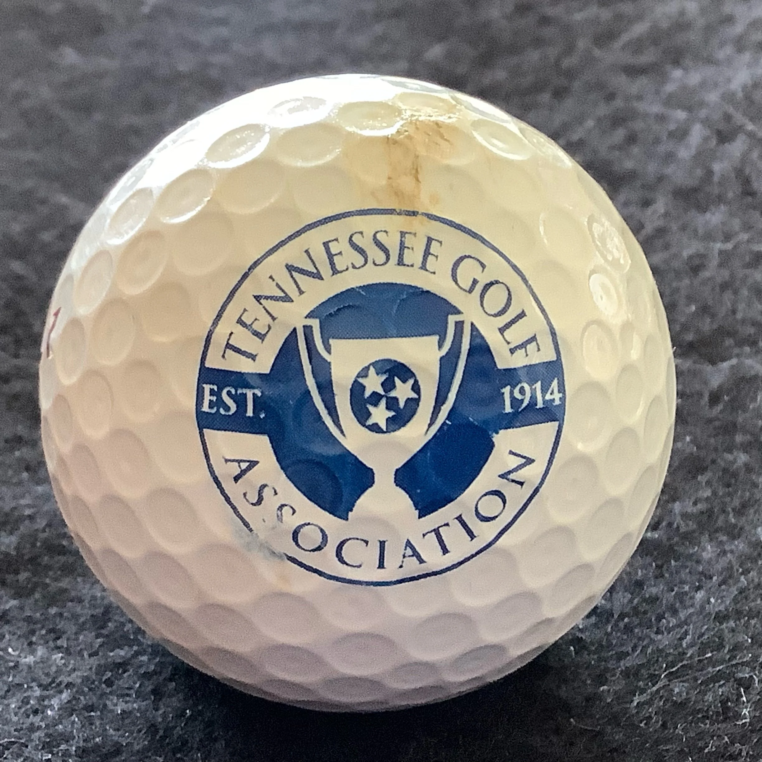 Tennessee Golf Association