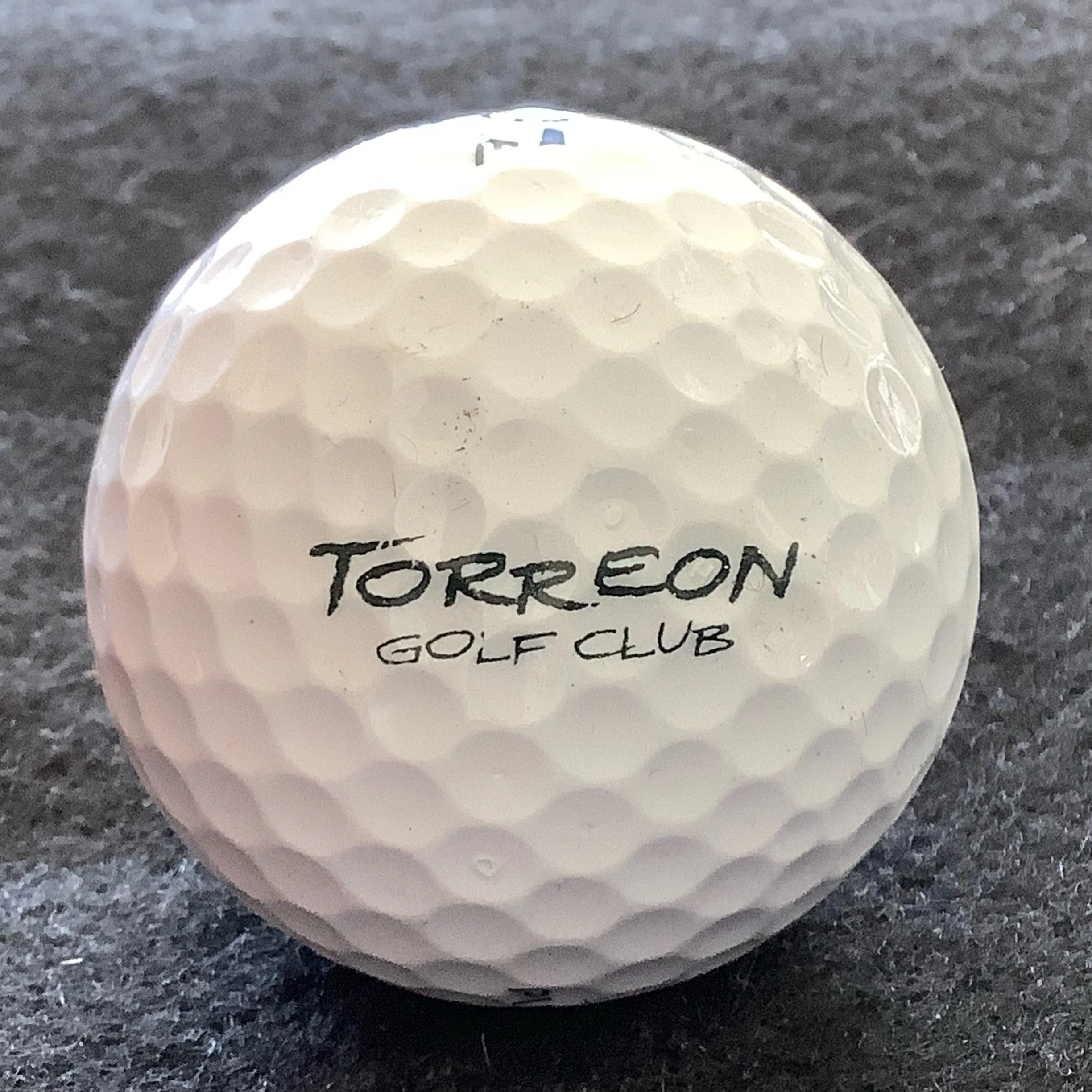 Torreon Golf Club