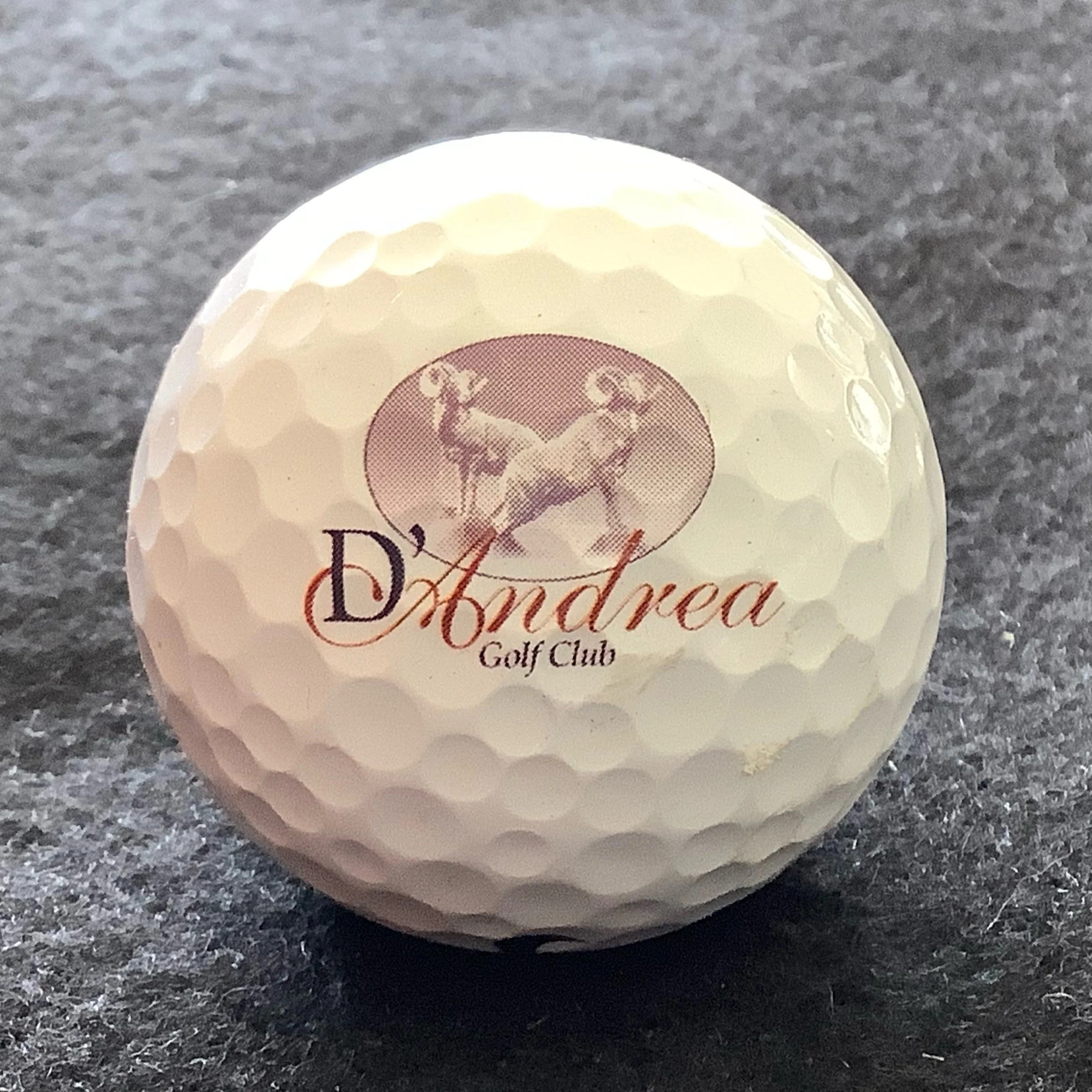 D’Andrea Golf Club 