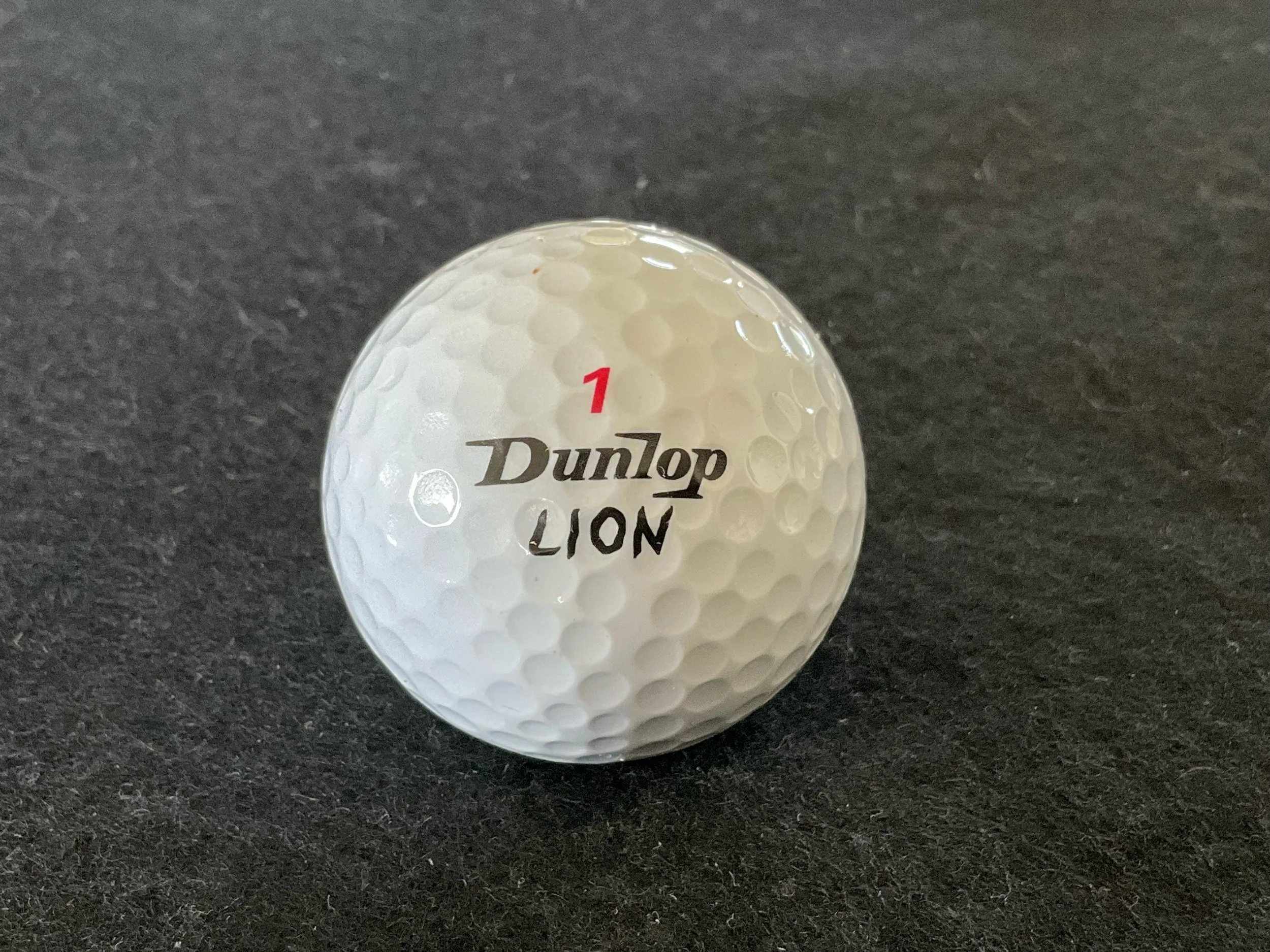 Dunlop - Lion