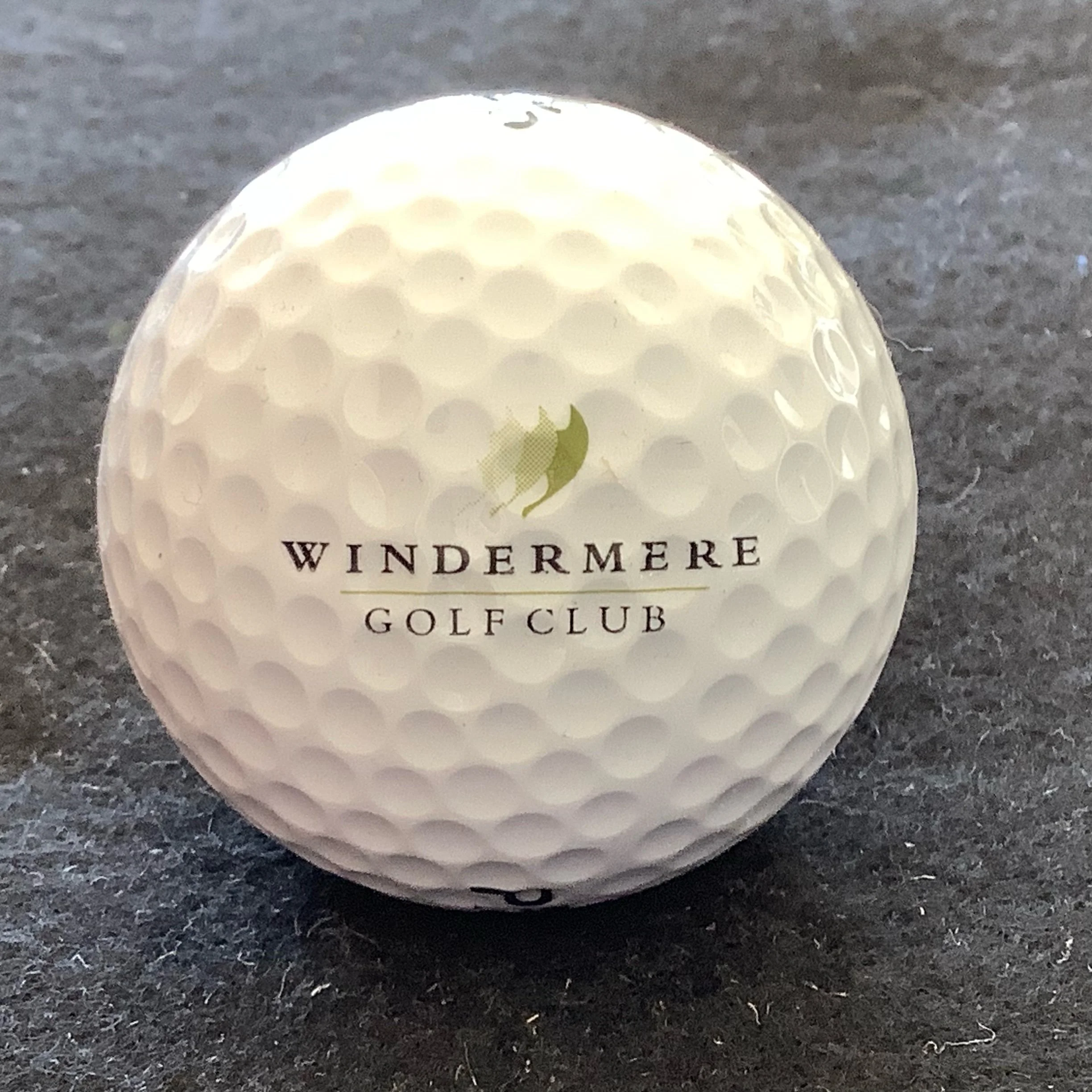 Windermere Golf Club 