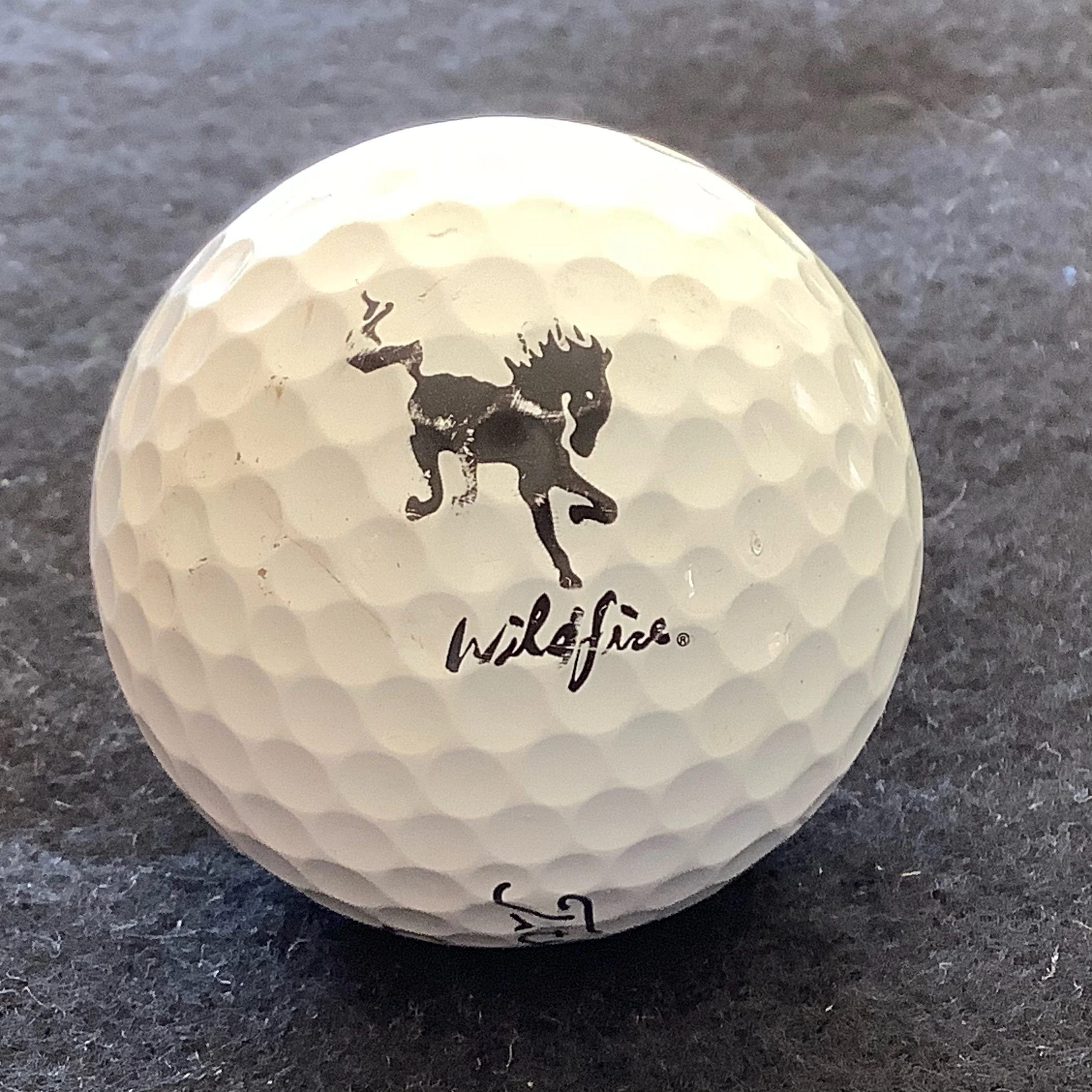 Wildfire Golf Course 