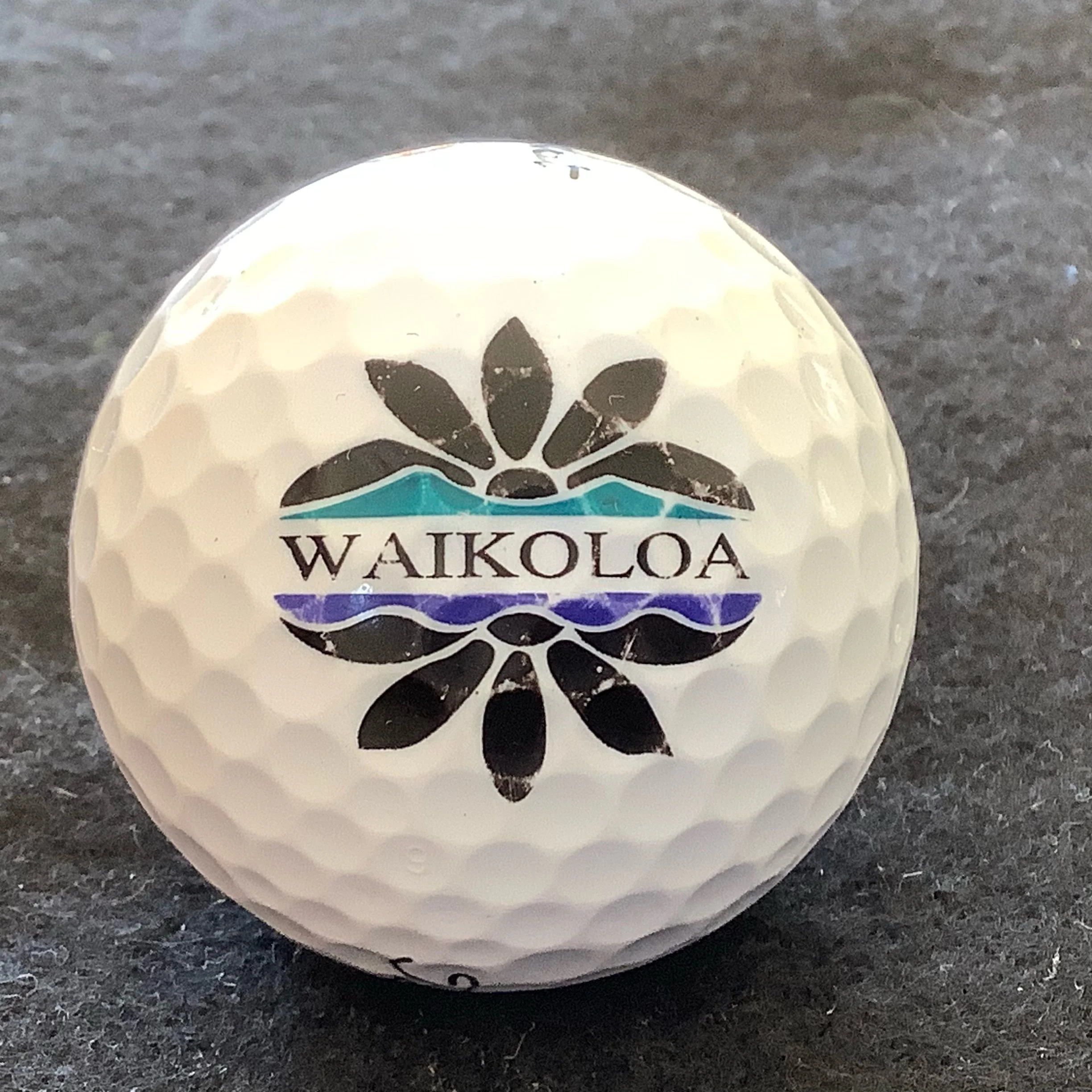 Waikoloa Beach Resort and Golf Course 