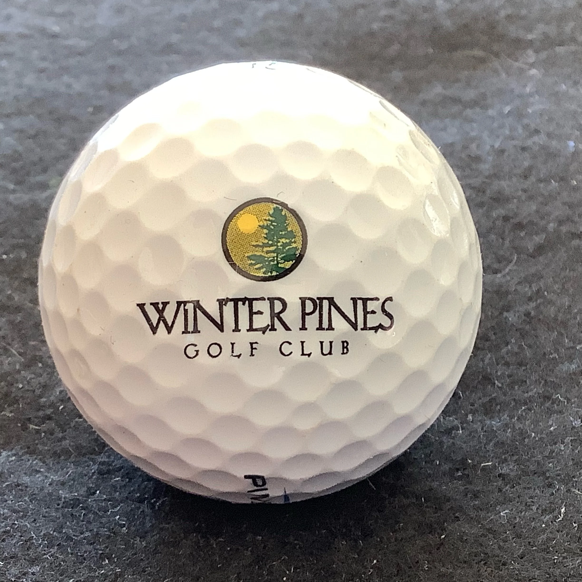 Winter Pines Golf Club 