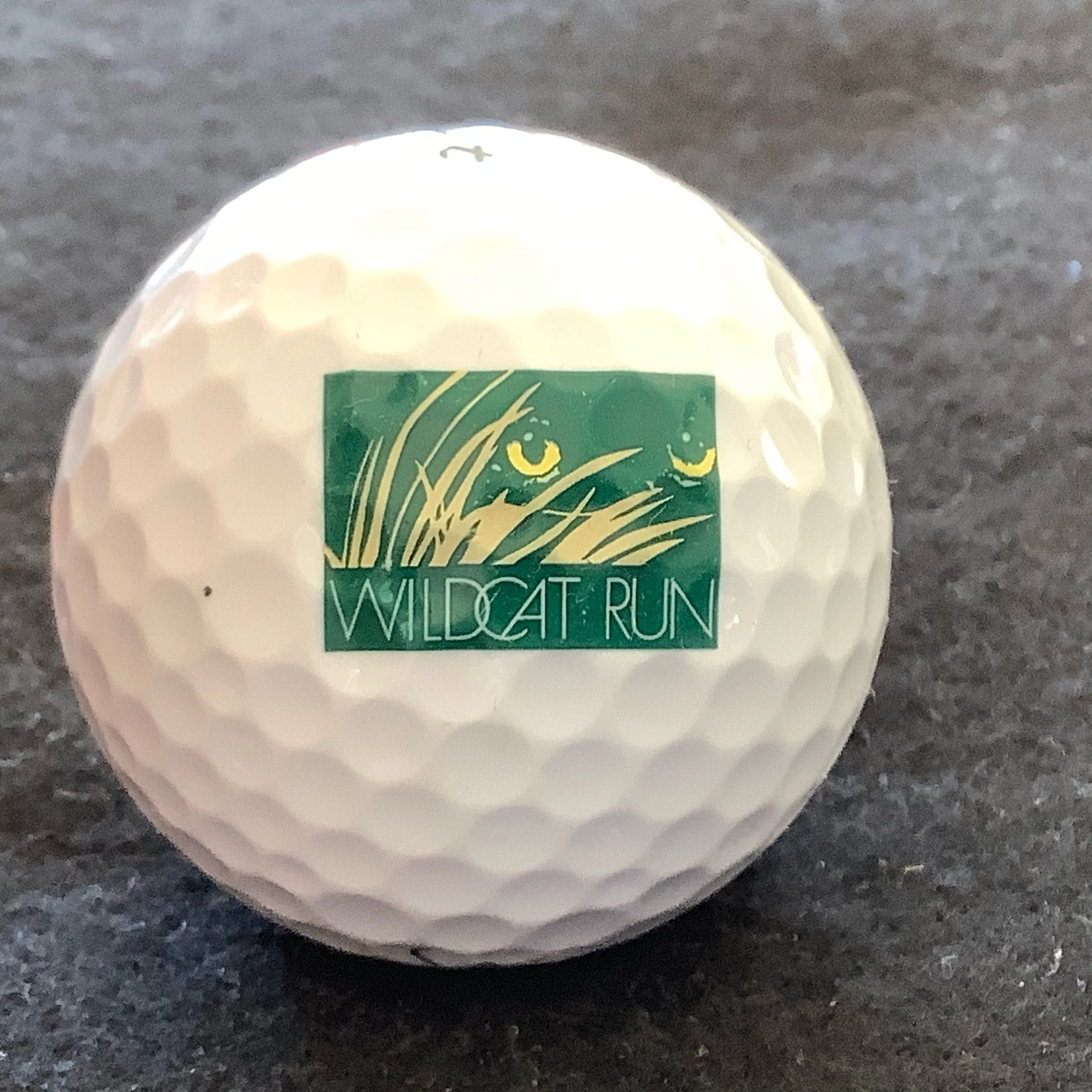 Wildcat Run Golf and Country Club 