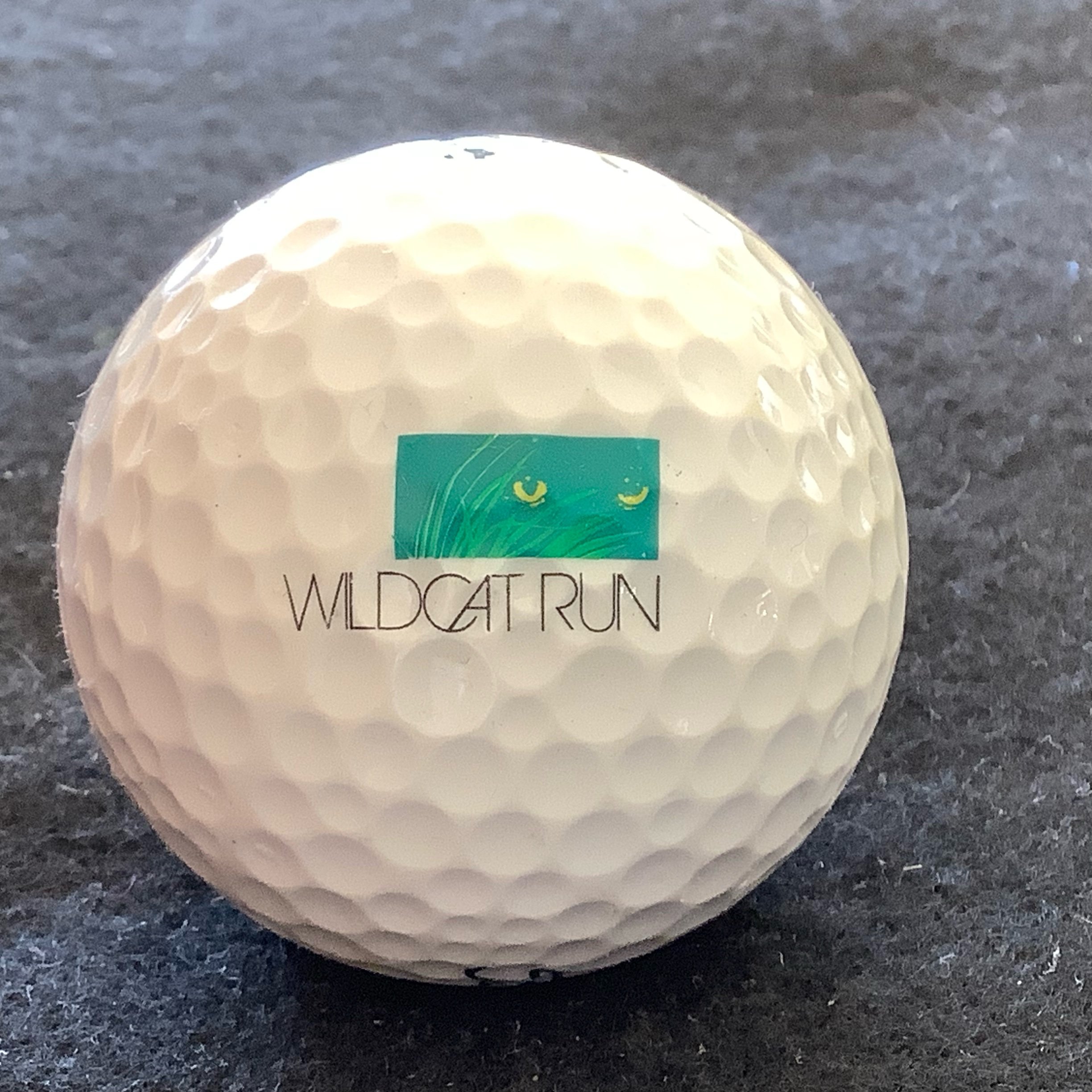 Wildcat Run Golf and Country Club 