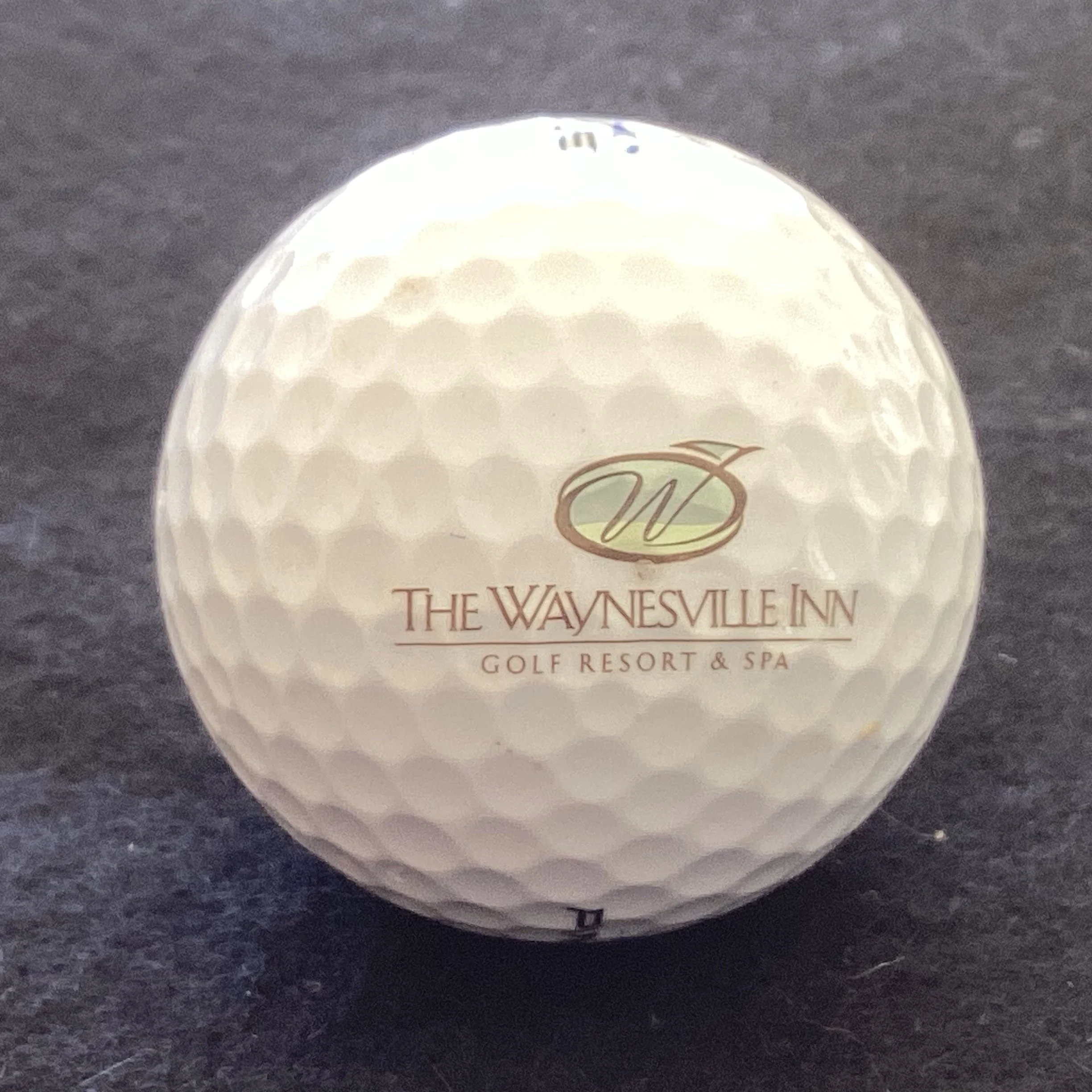 Waynesville - The Waynesville Inn Golf Resort and Spa 