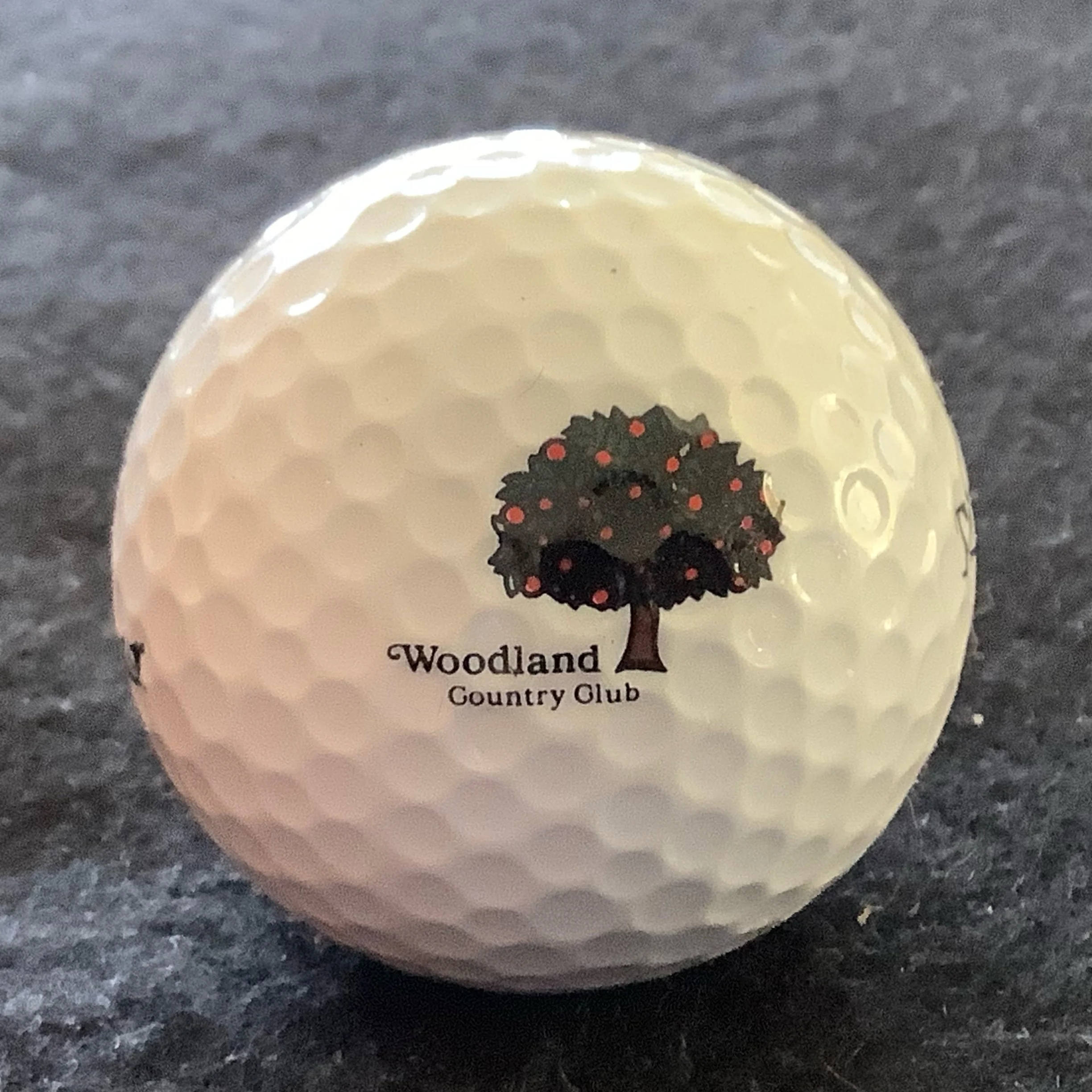 Woodland Country Club 