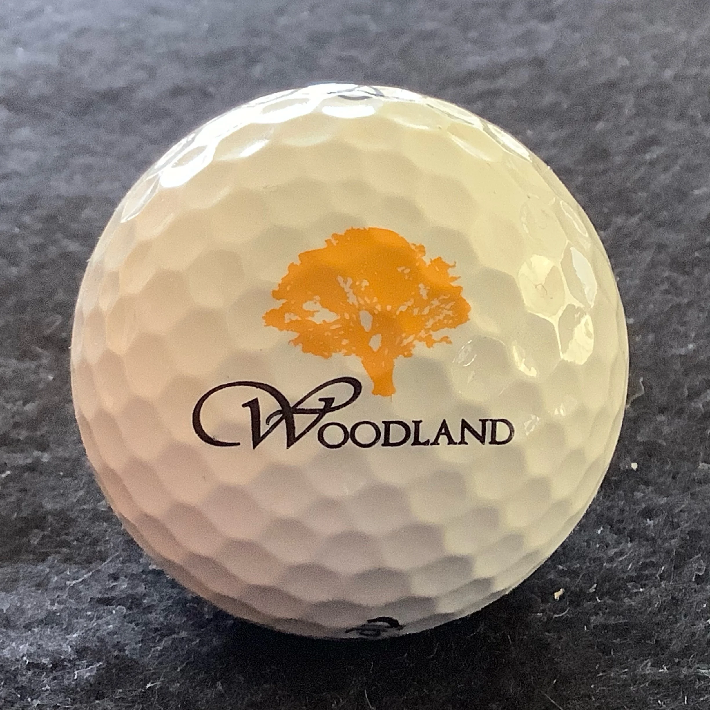 Woodland Country Club of Carmel