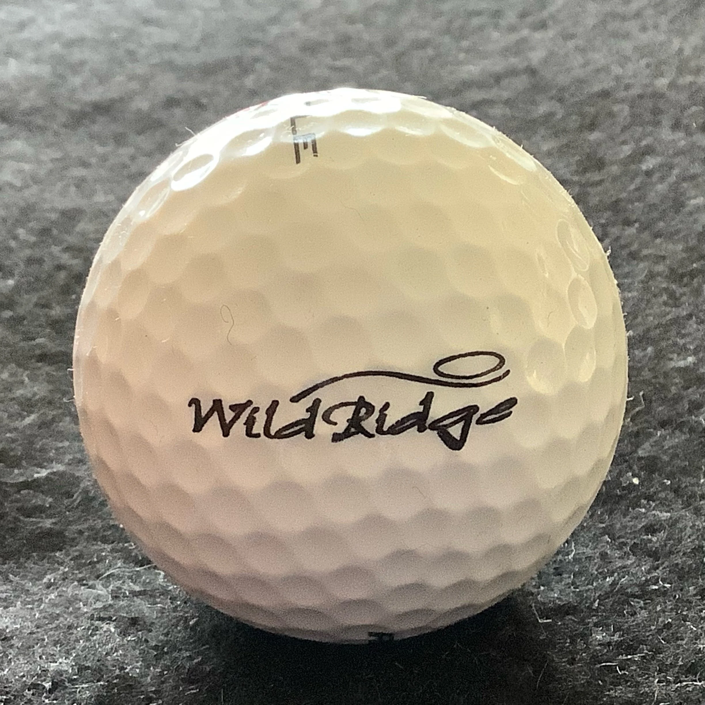 Wild Ridge Golf Course 