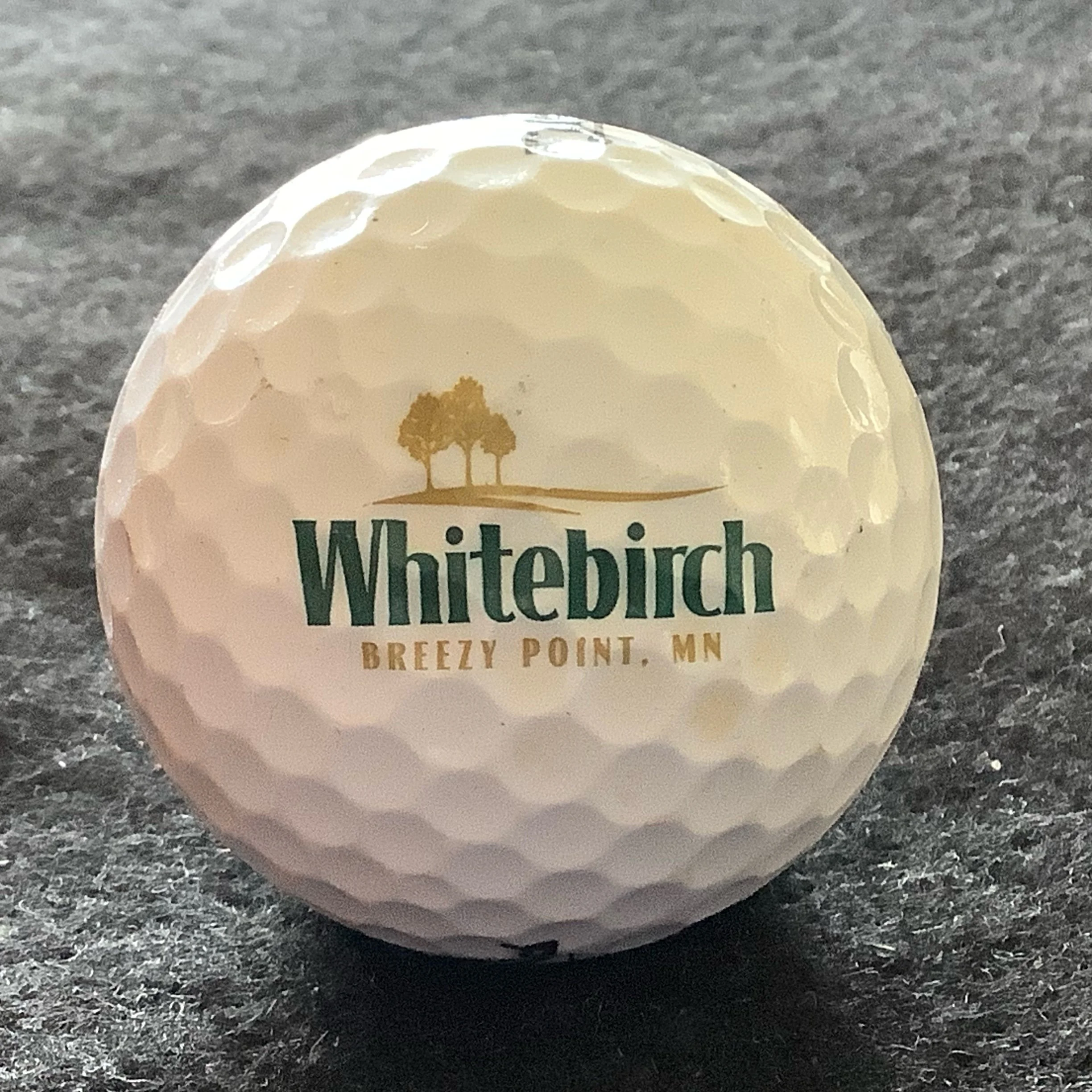 Whitebirch Golf Course 