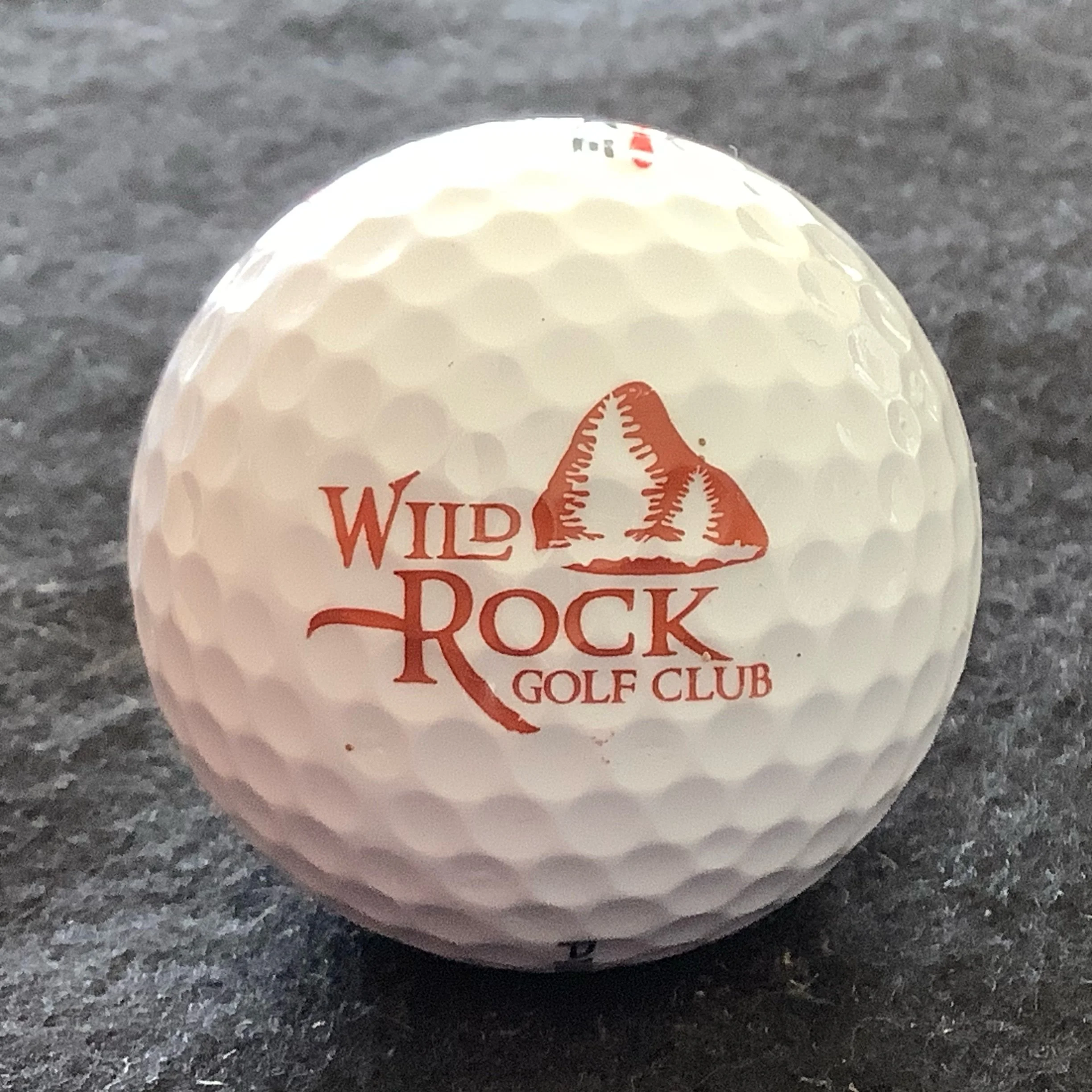 Wild Rock Golf Club 