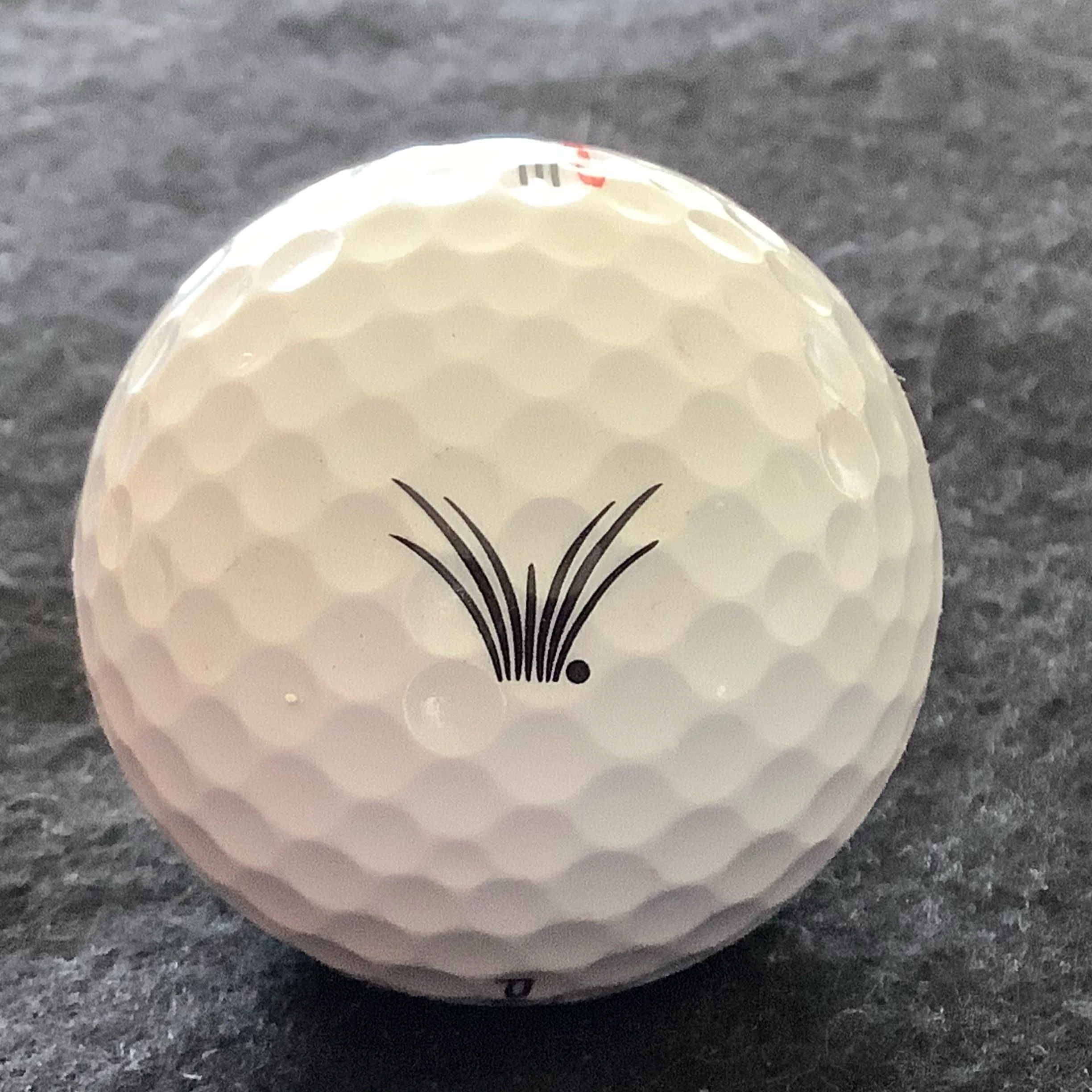 Windsong Farm Golf Course 