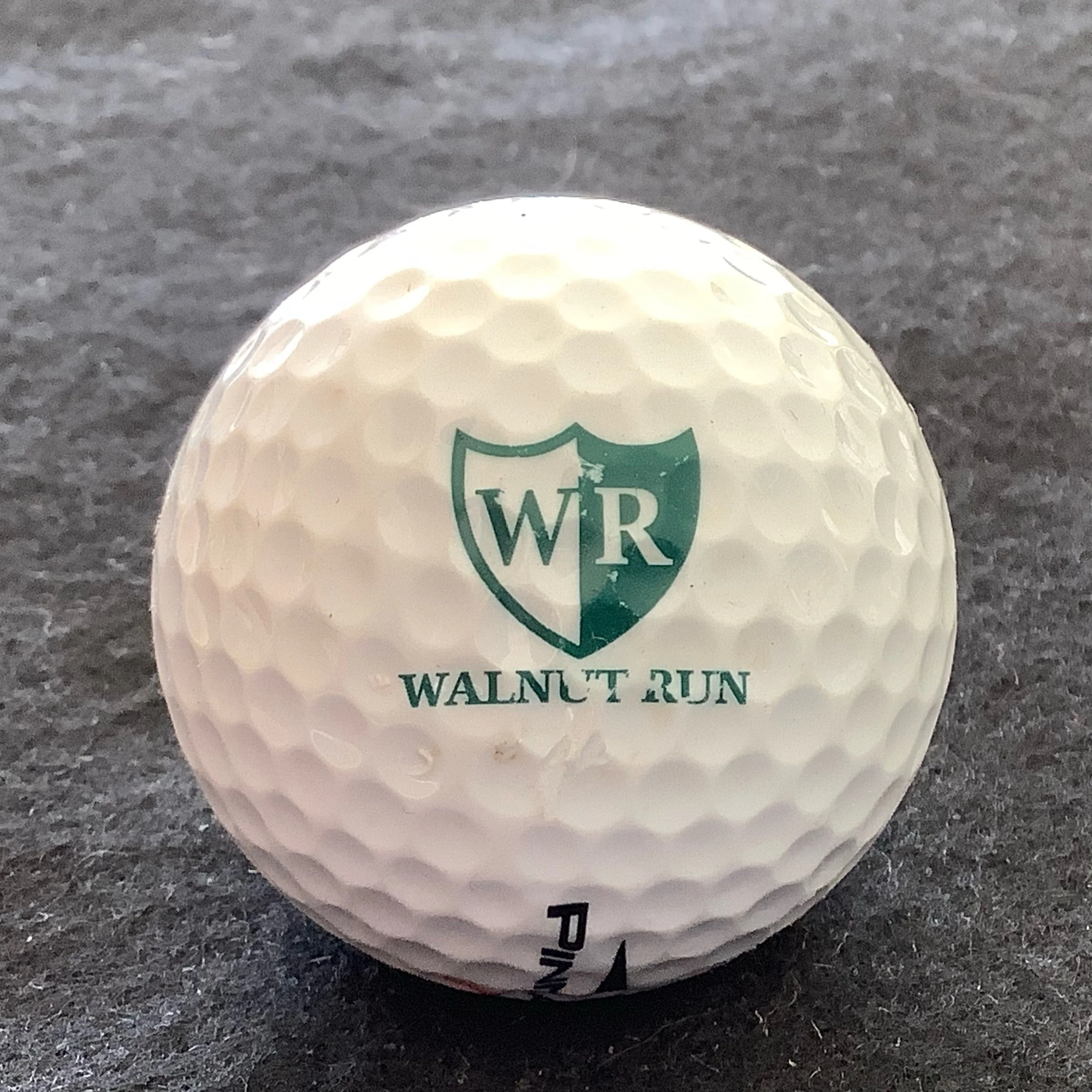 Walnut Run Golf Course 