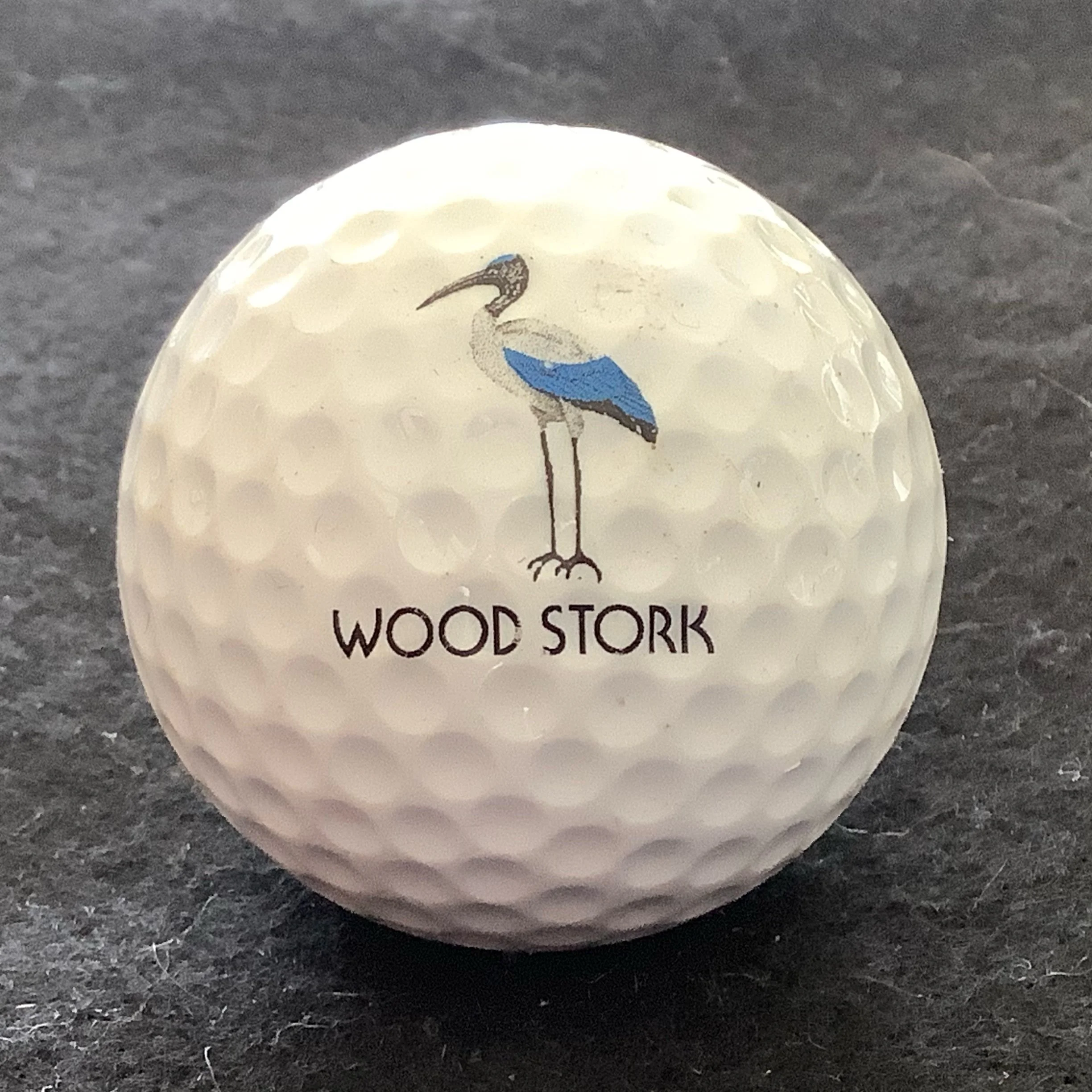 Wood Stork Course at Wild Wing Plantation 