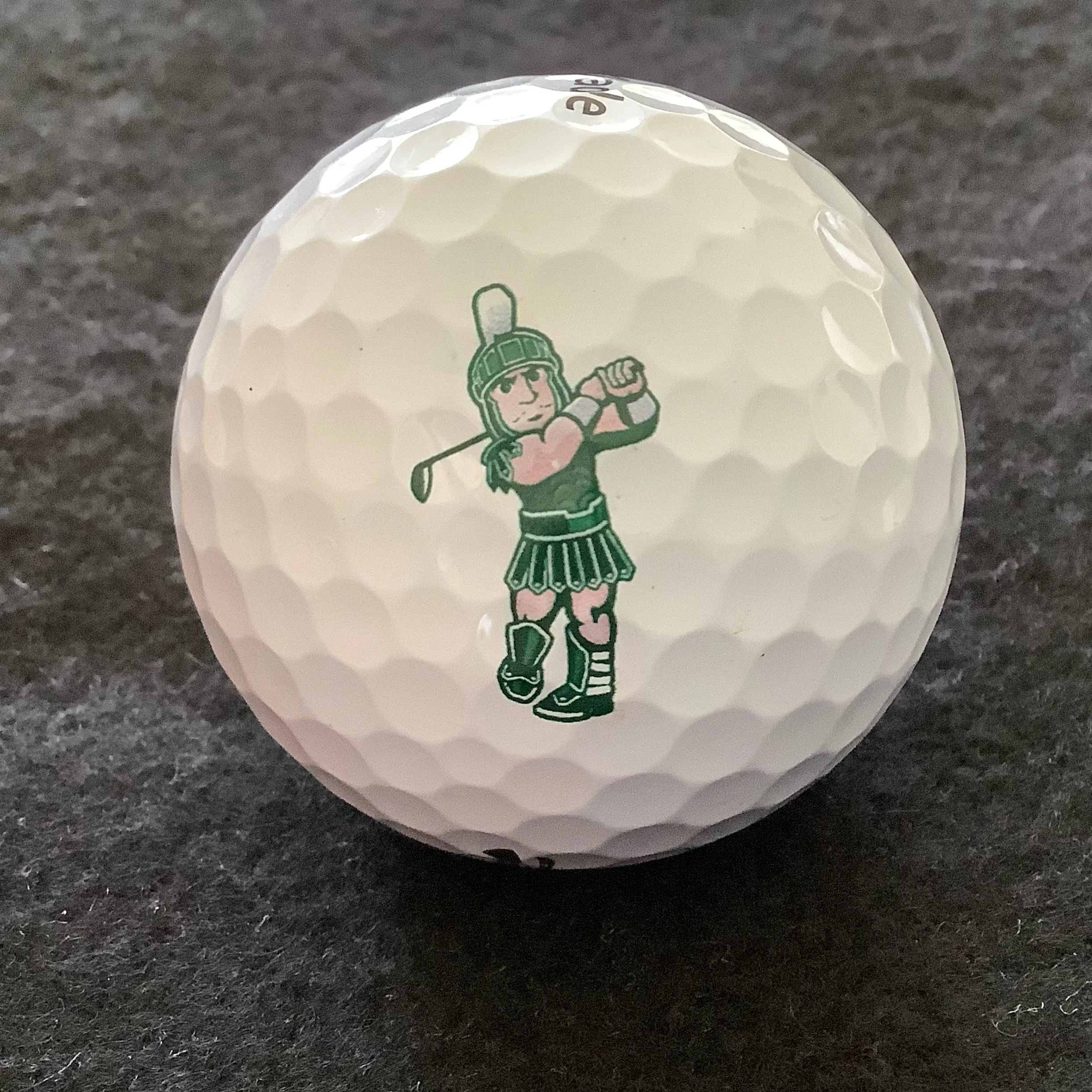 Michigan State University Spartans Golf Team
