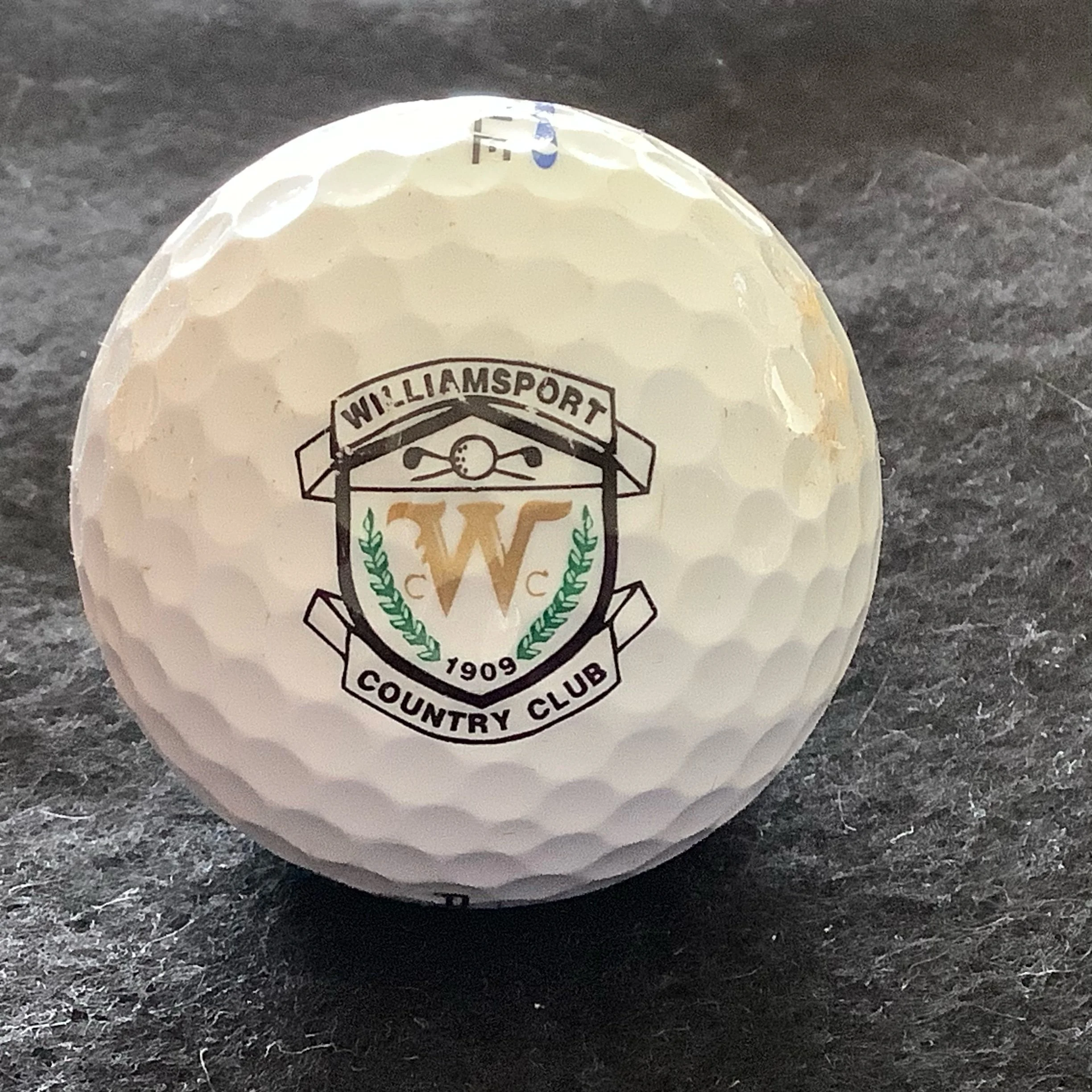 Williamsport Country Club 