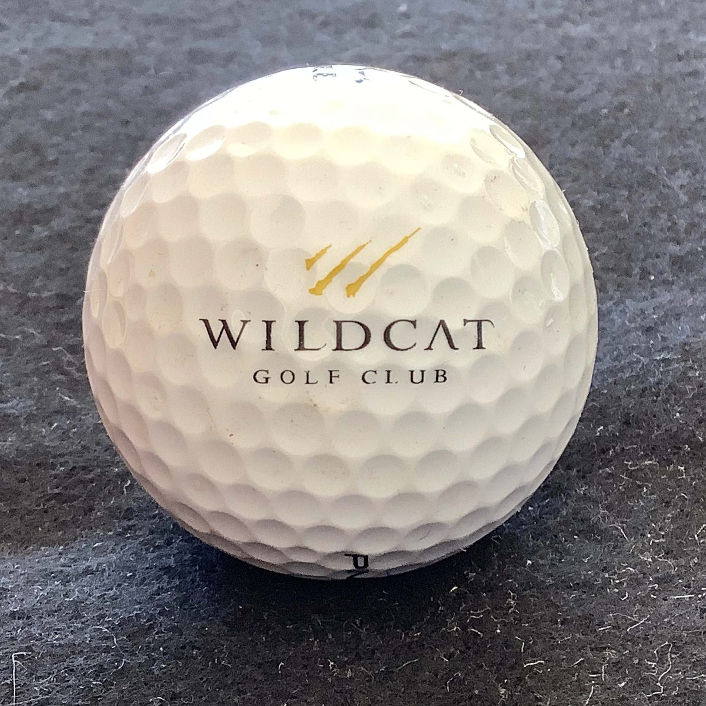 Wildcat Golf Club 