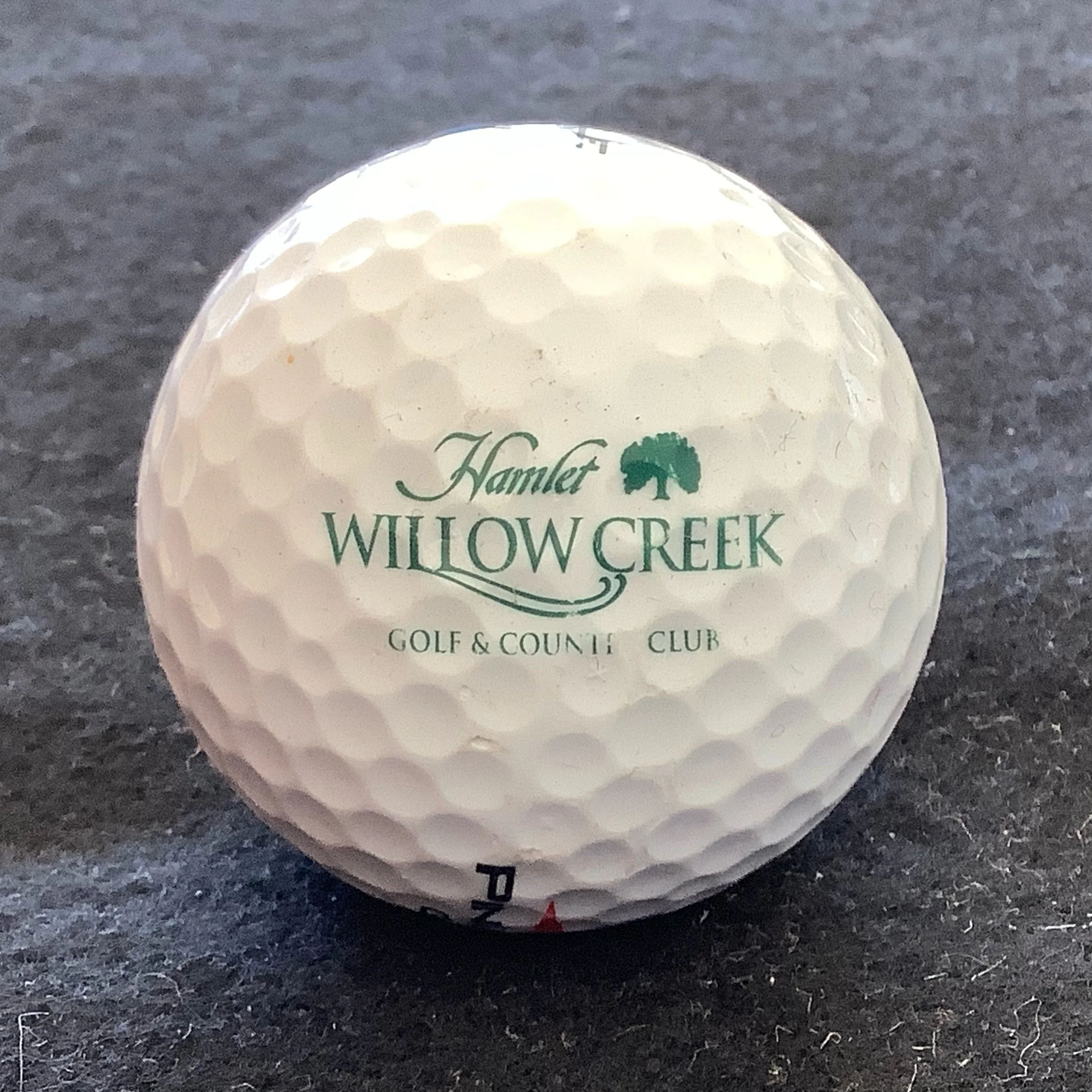 Willow Creek Golf and Country Club 