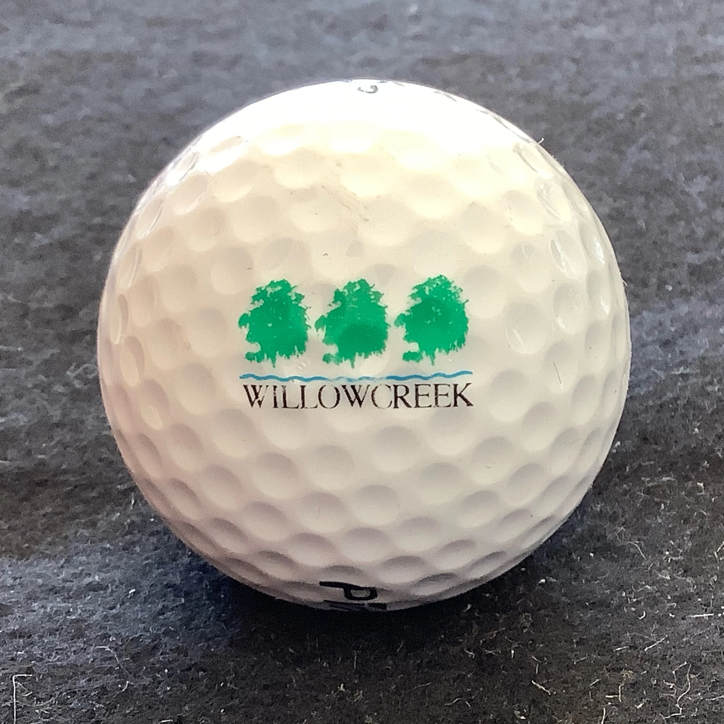 Willow Creek Golf Club 