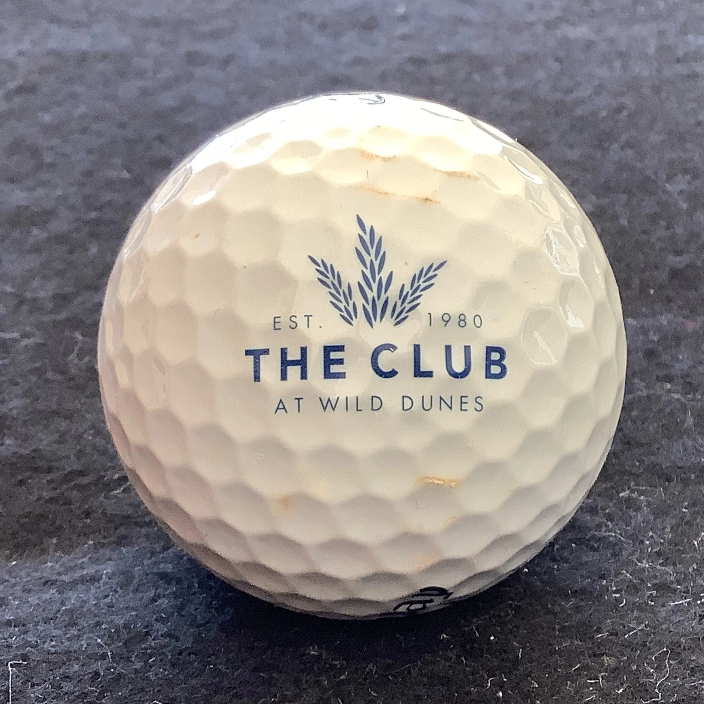 Wild Dunes - The Club at Wild Dunes 