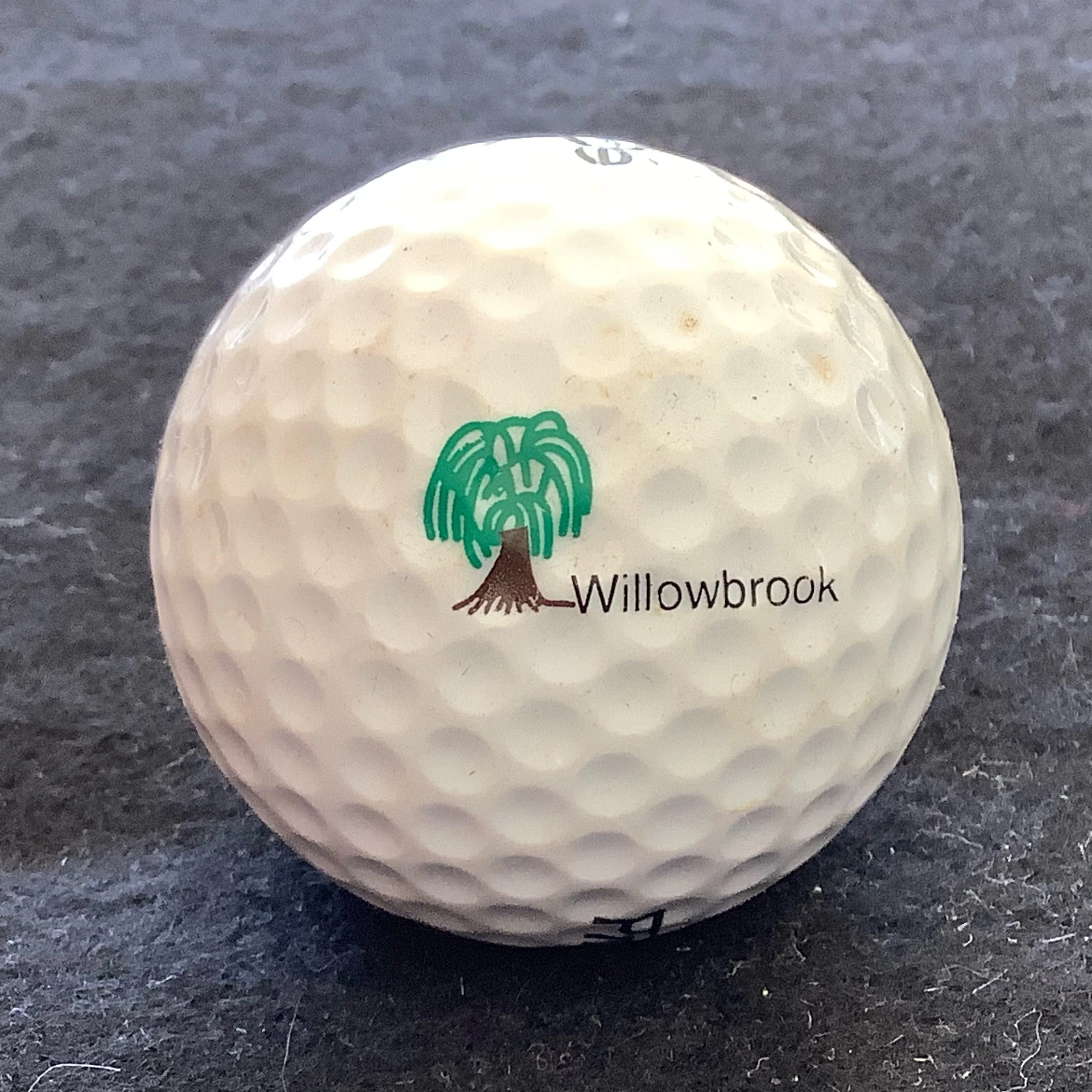 Willowbrook Golf Club 