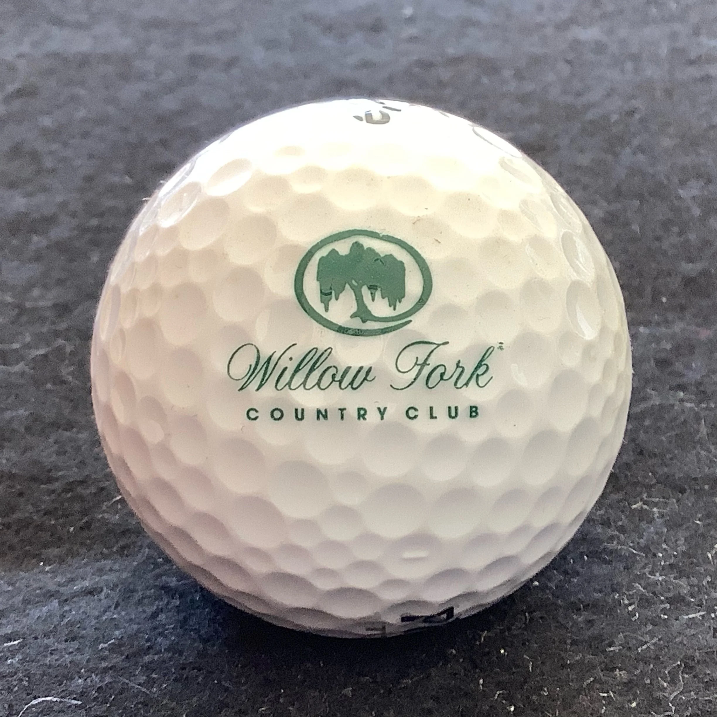 Willow Fork Country Club 
