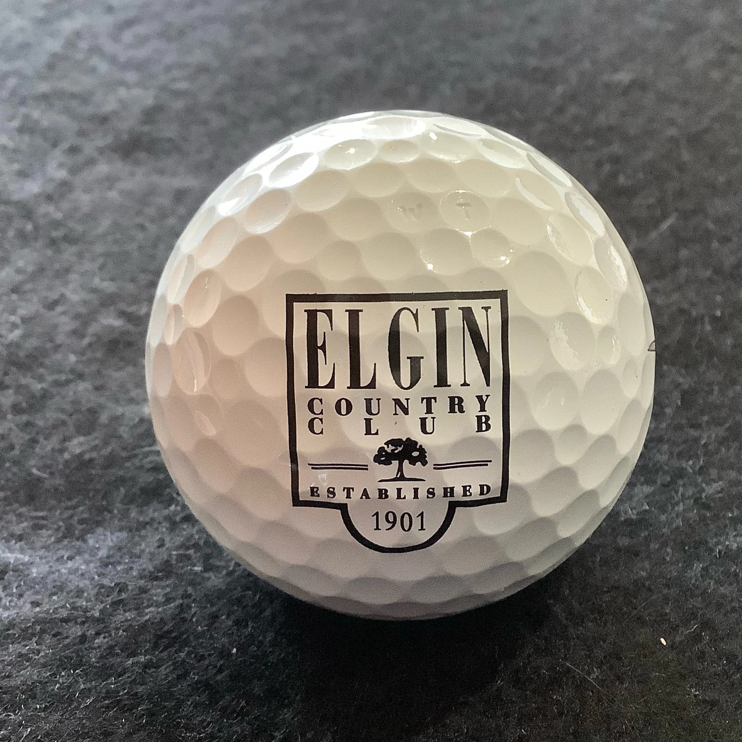 Elgin Country Club 