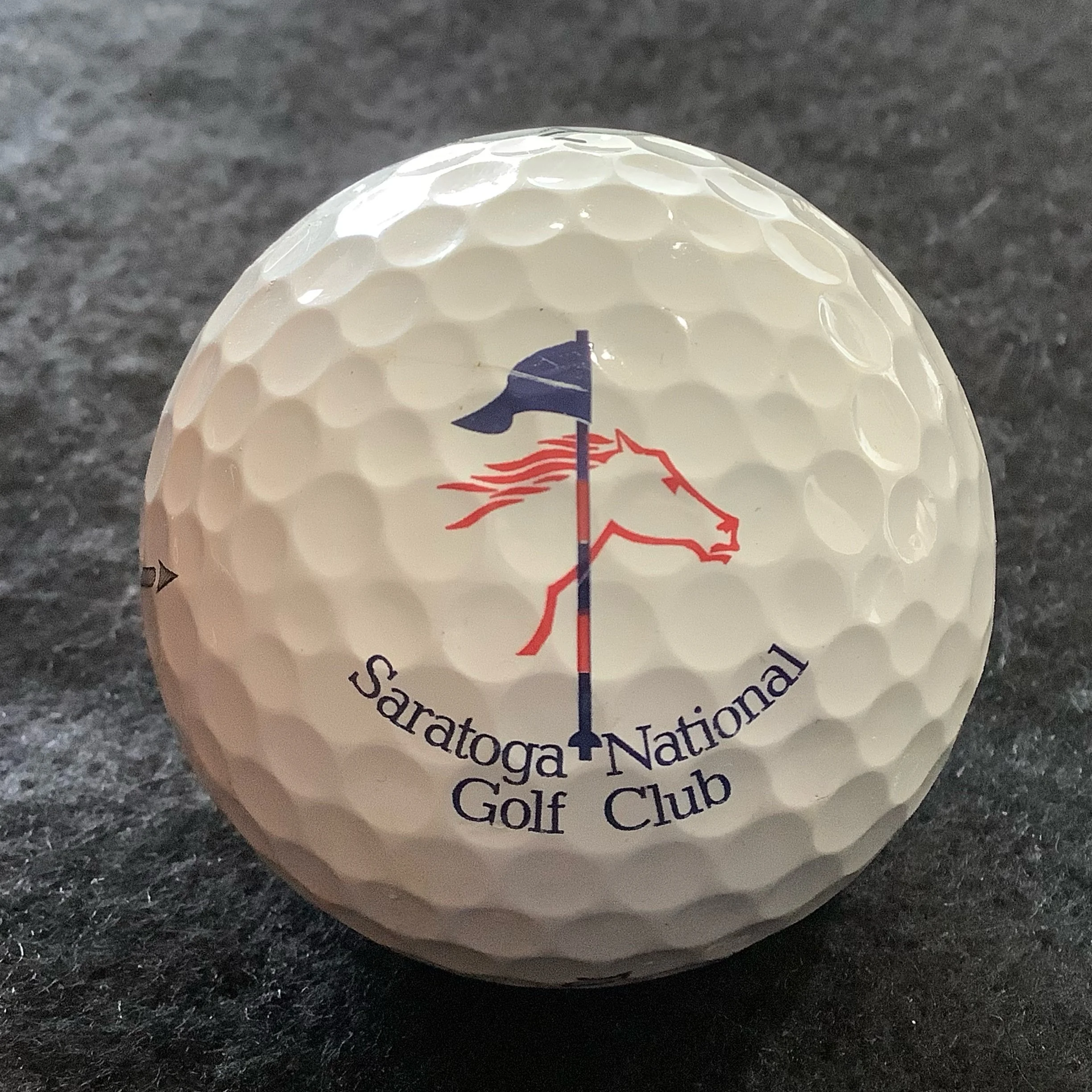 Saratoga National Golf Club 