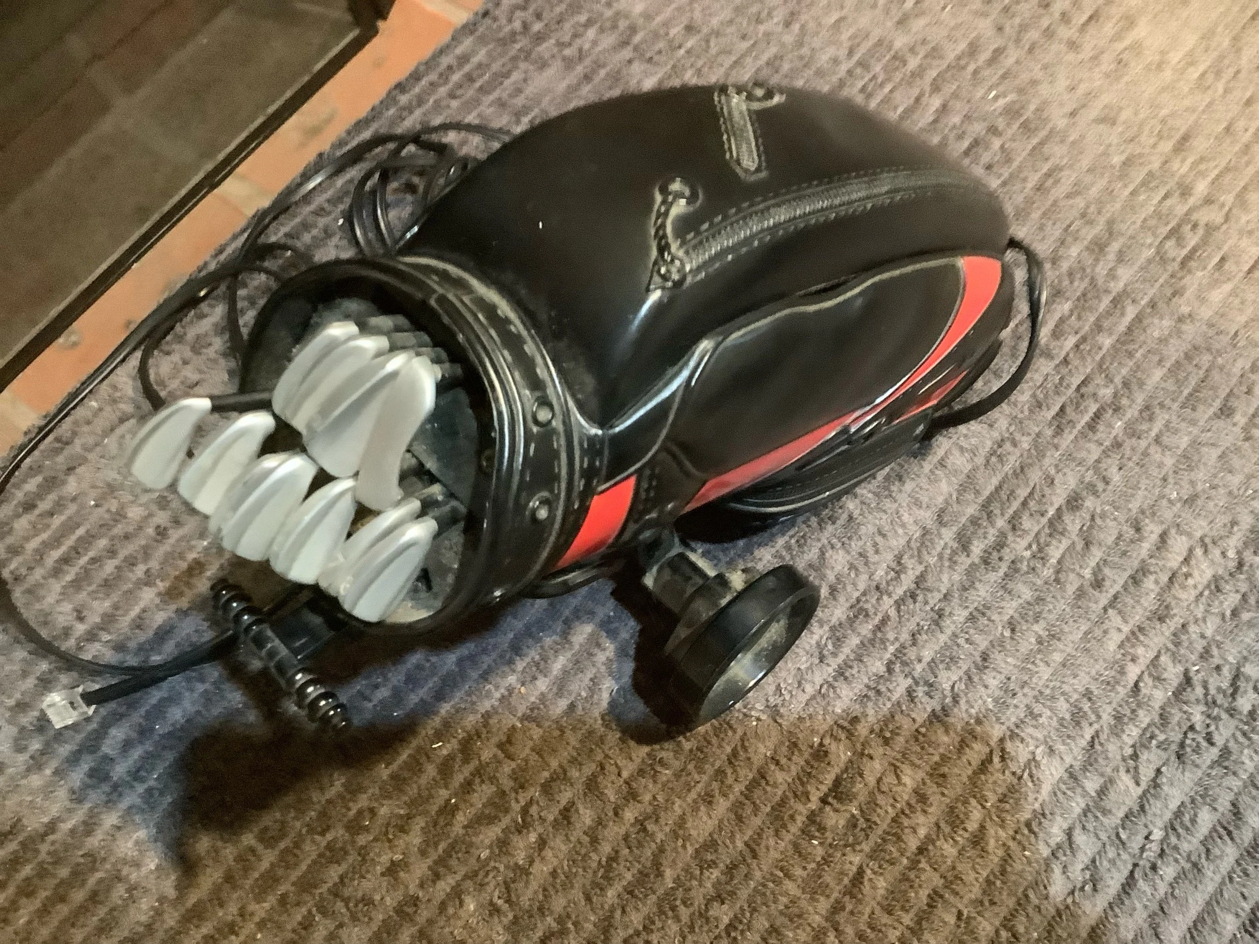 Antique Golf Bag and Buggy Telephone (in working order)