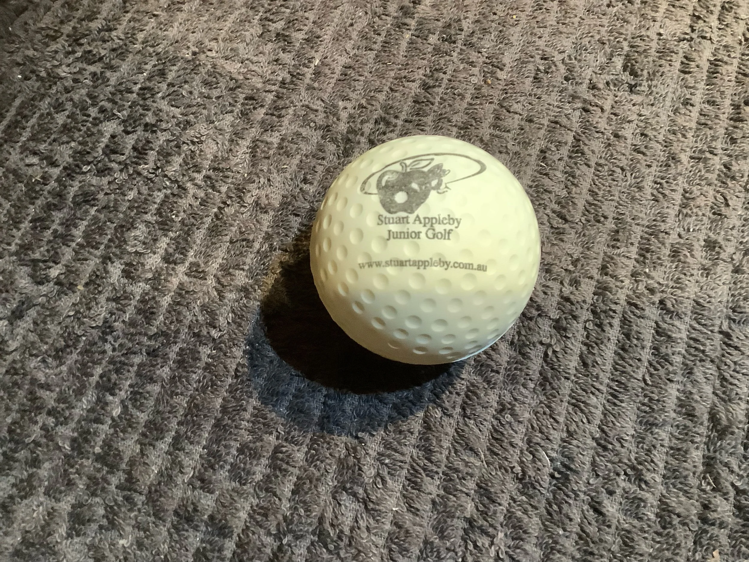 Stuart Appleby Junior Golf Promotion Large Soft Ball