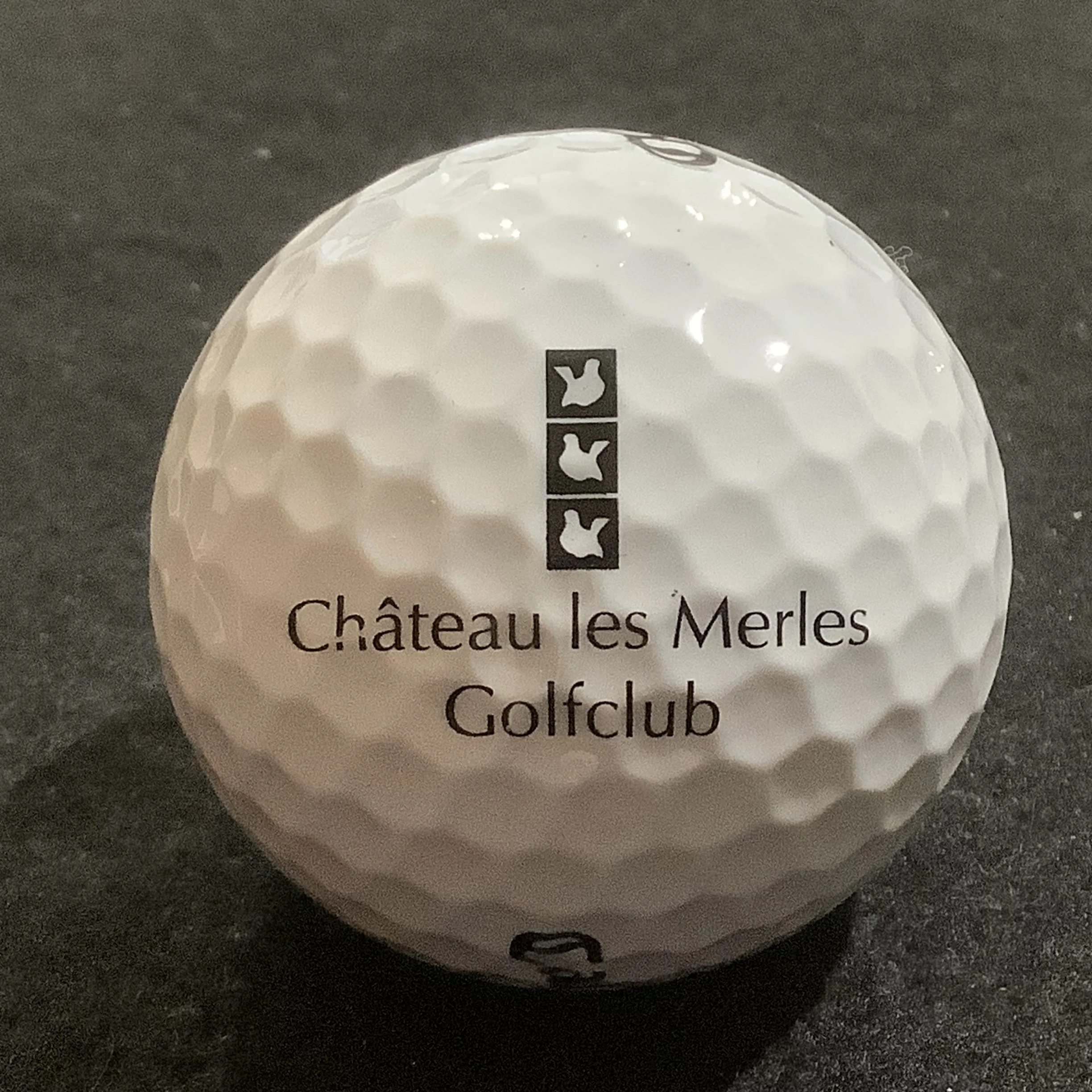 Chateau Les Merle’s Golfclub 