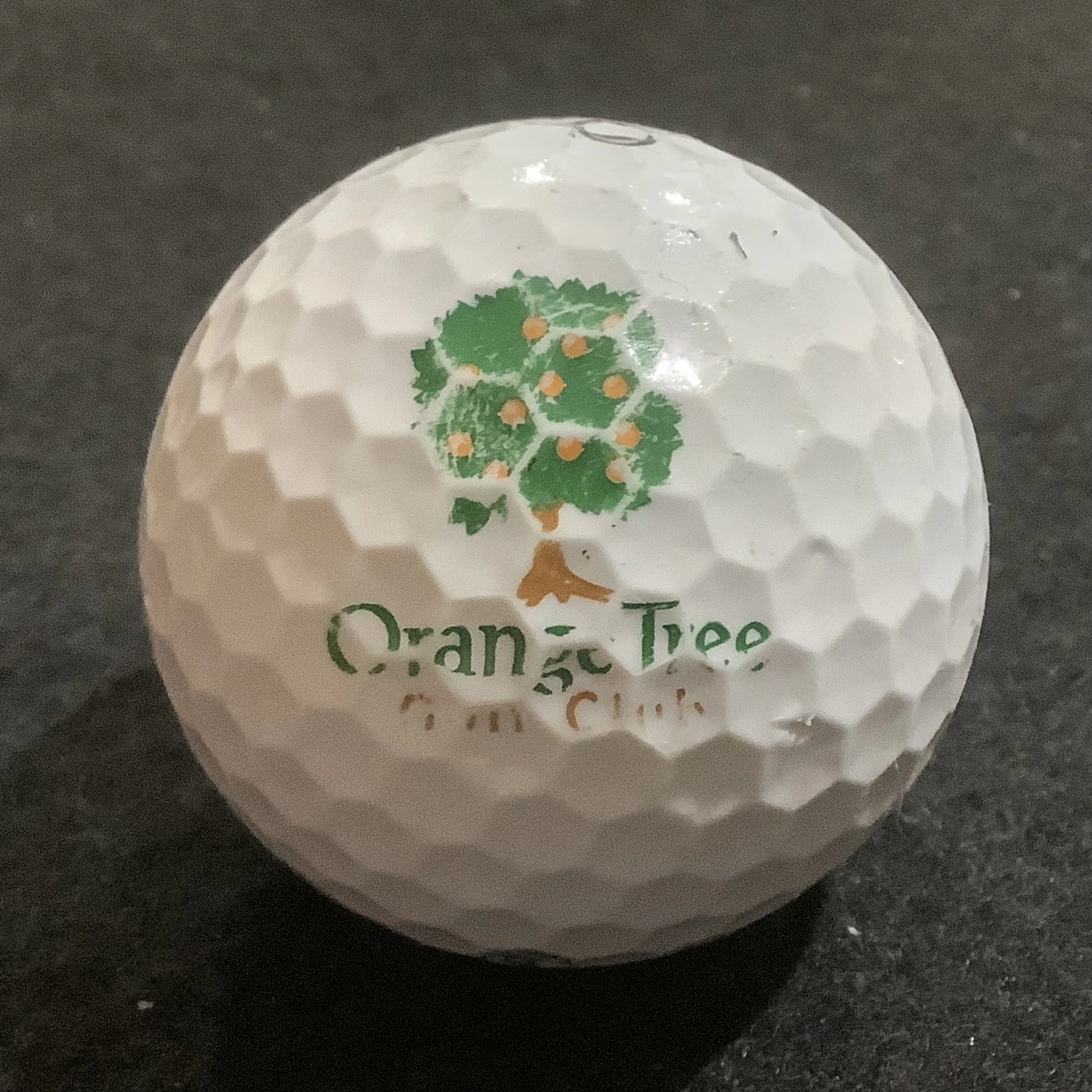Orange Tree Golf Club 