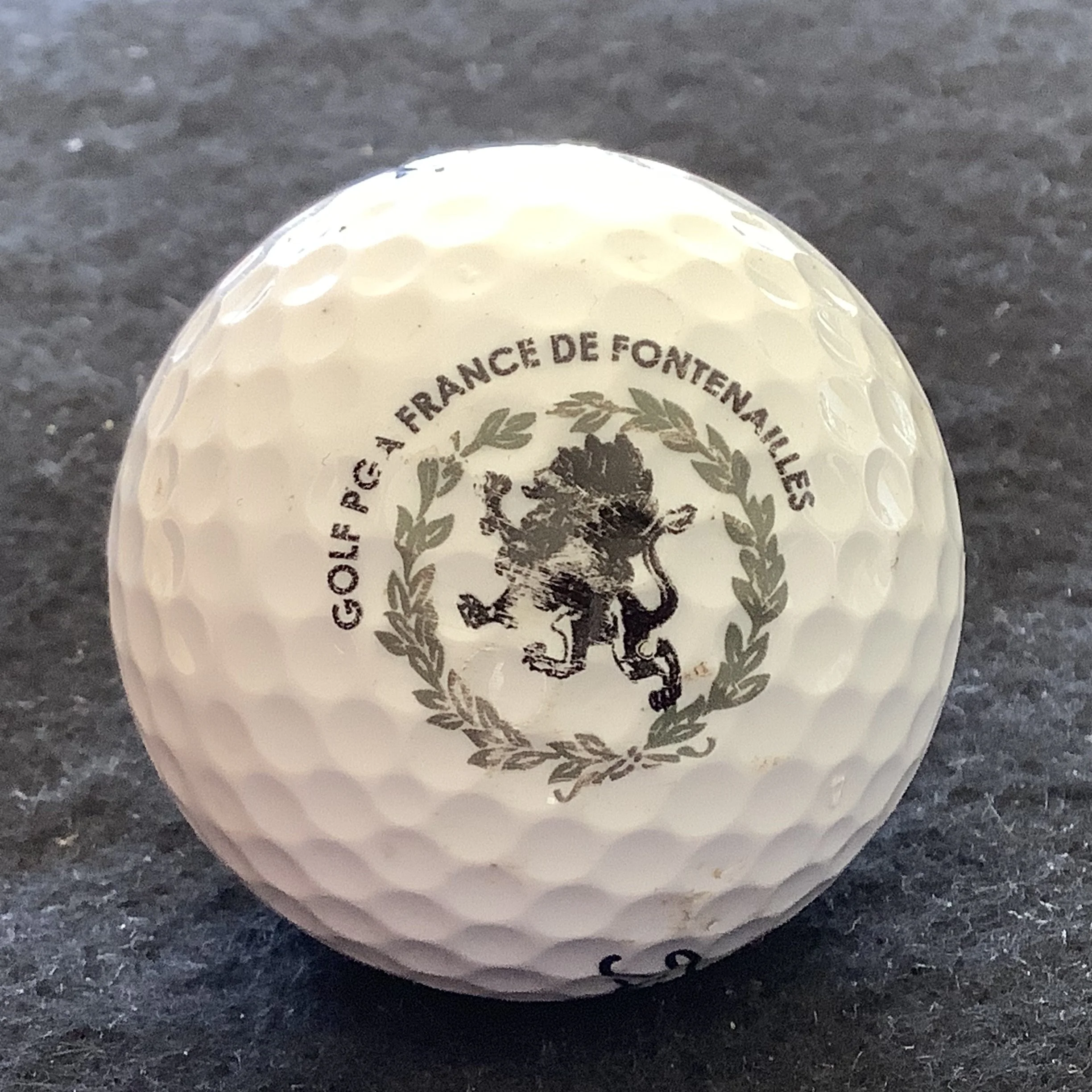 Fontenailles - Golf PGA France de Fontenailles