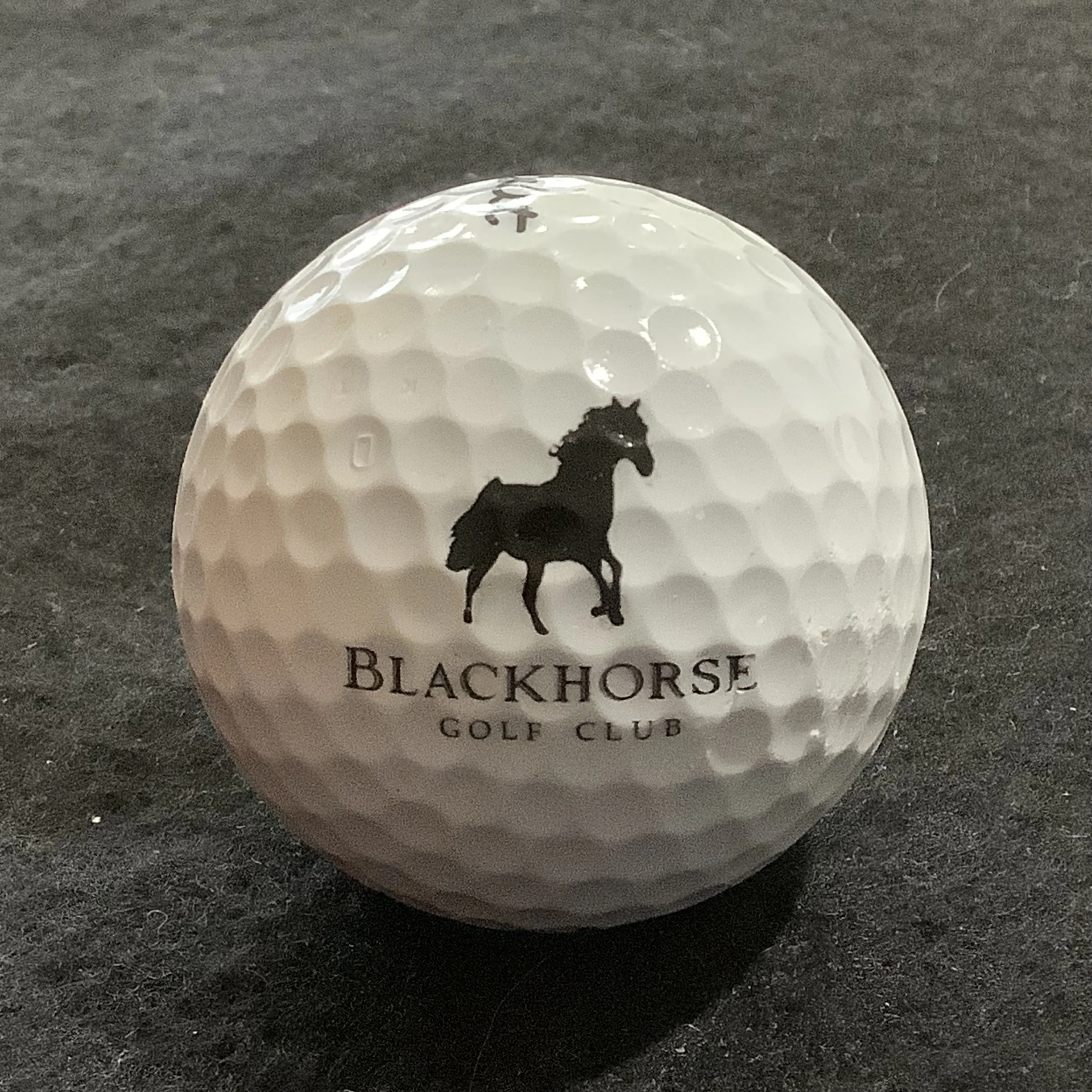 Black Horse Golf Club 