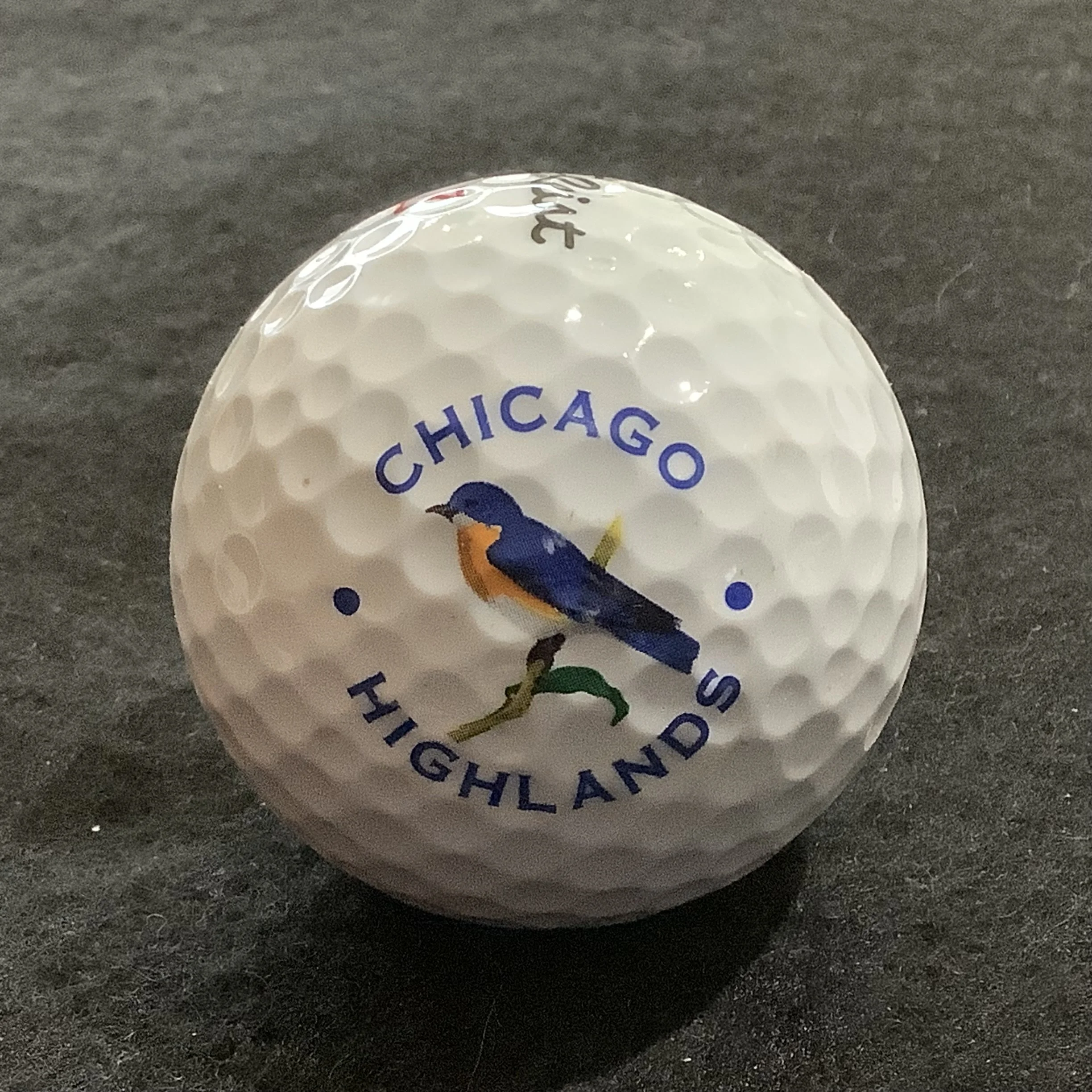 Chicago Highlands Golf Course 