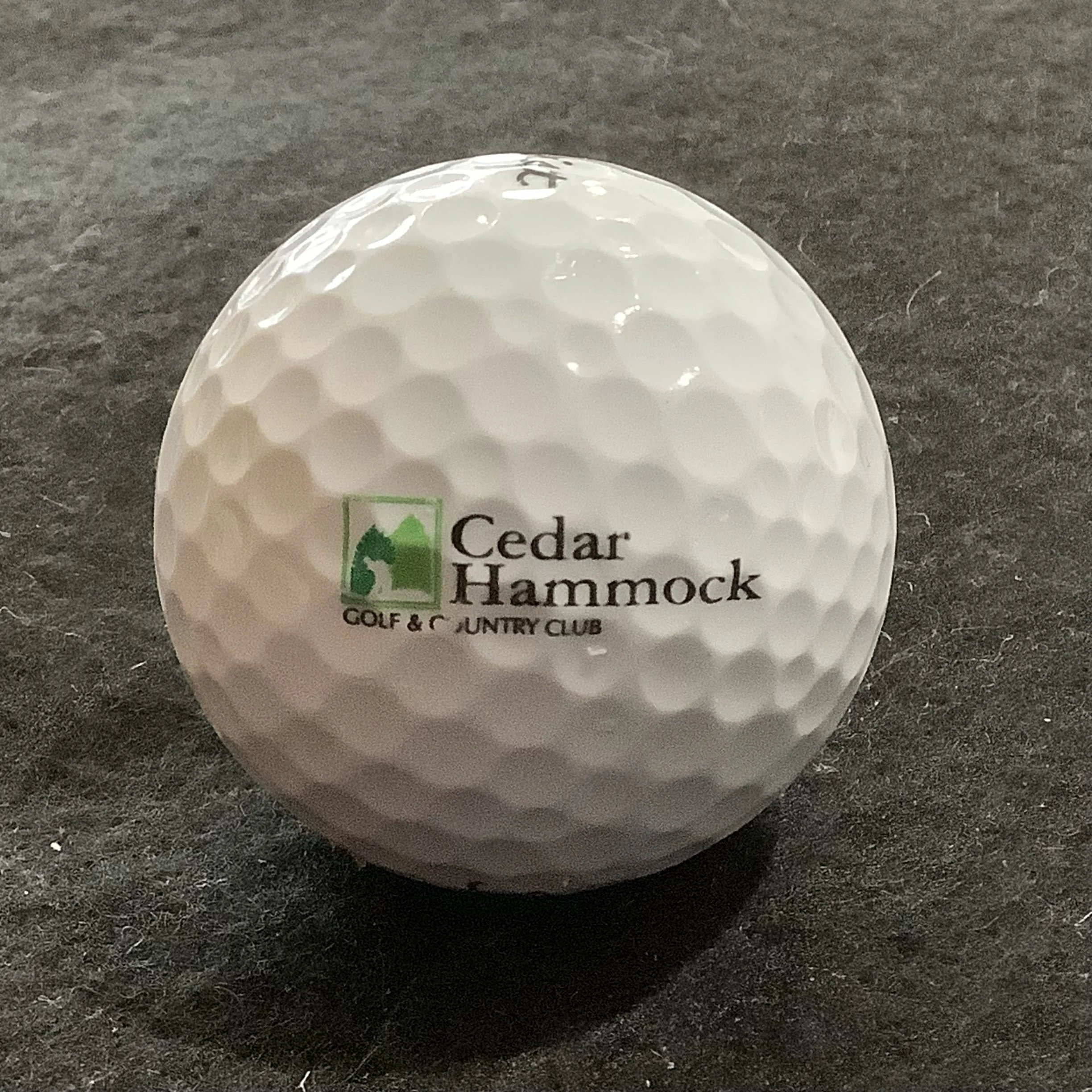Cedar Hammock Golf and Country Club 
