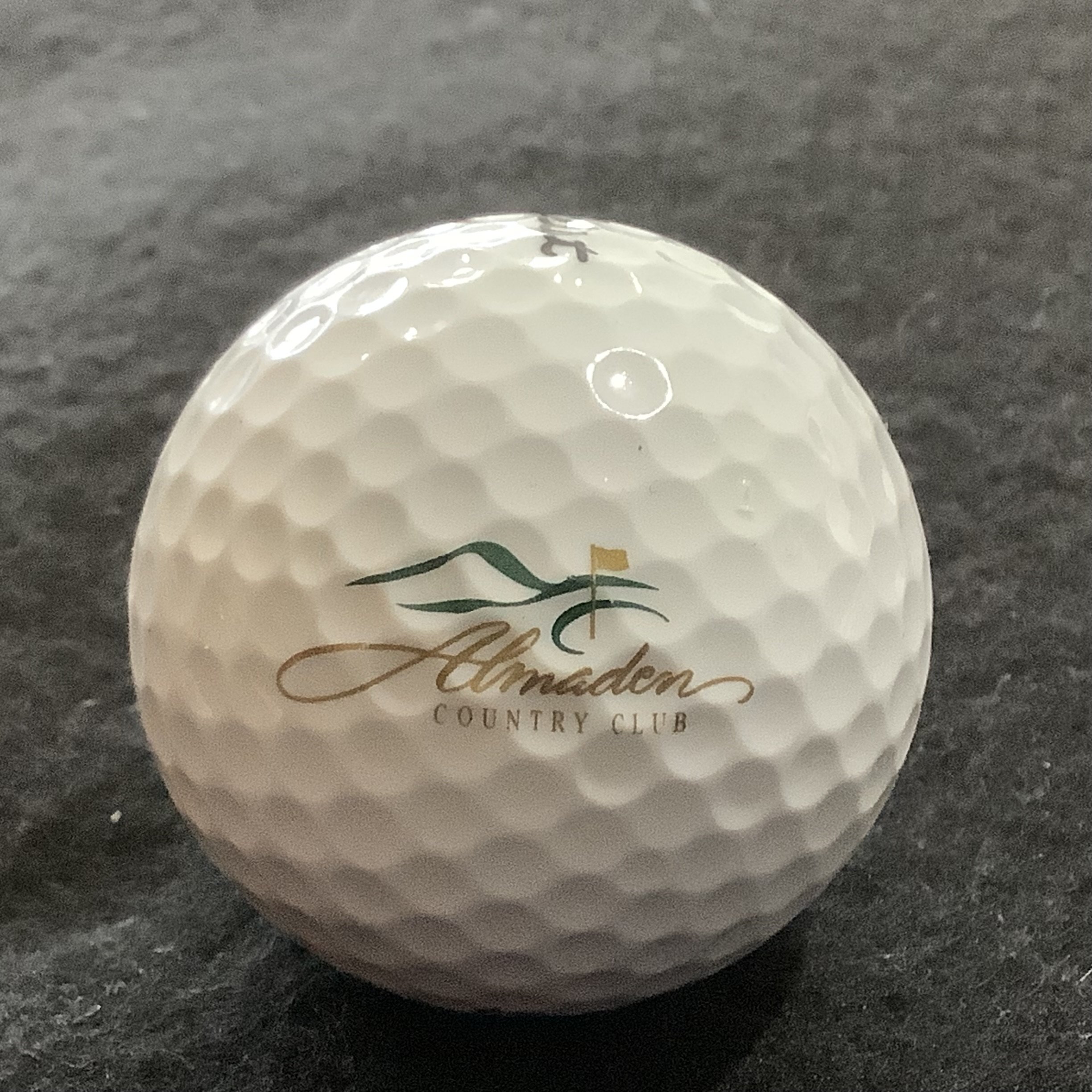 Almaden Country Club 