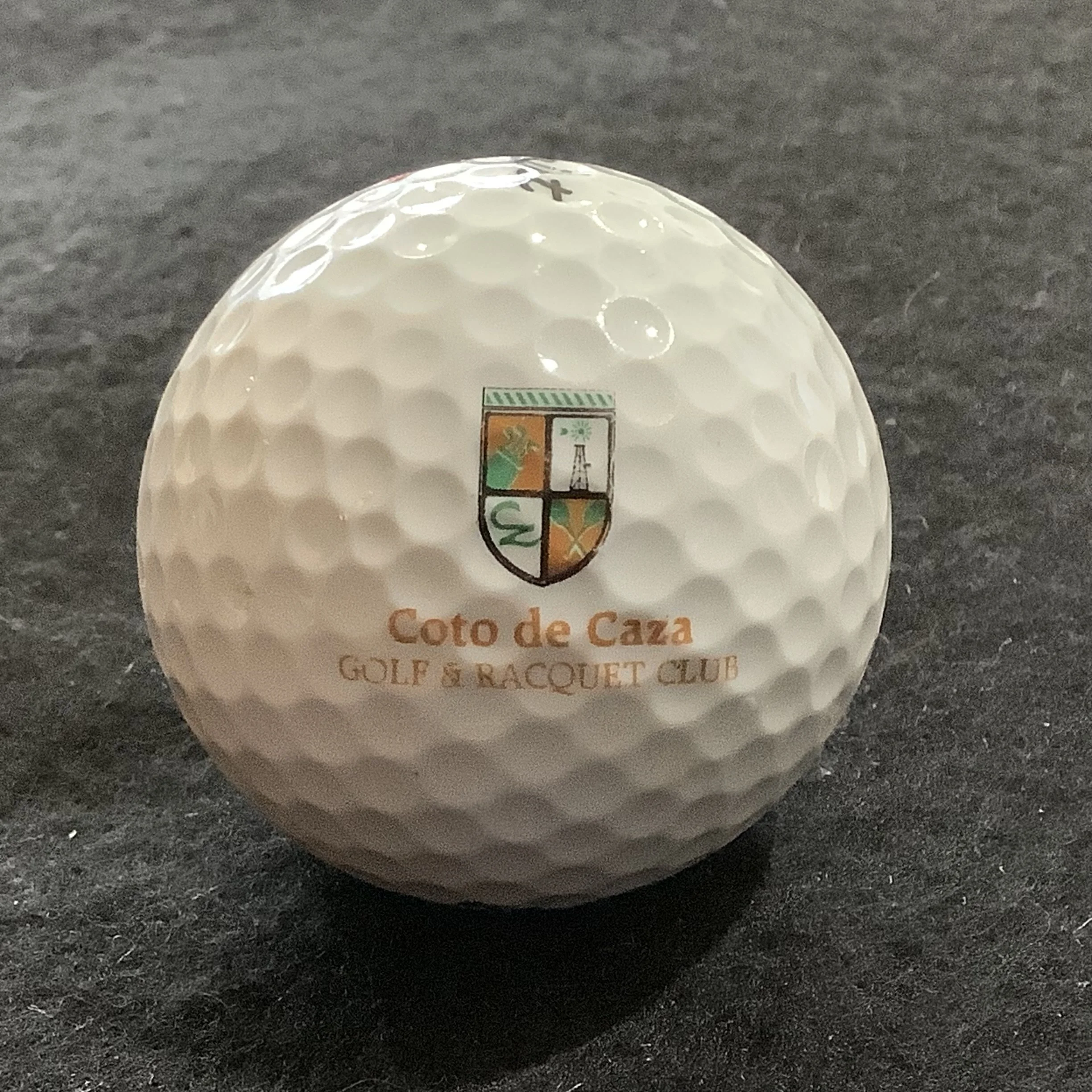 Coto de Caza Golf and Racquet Club 