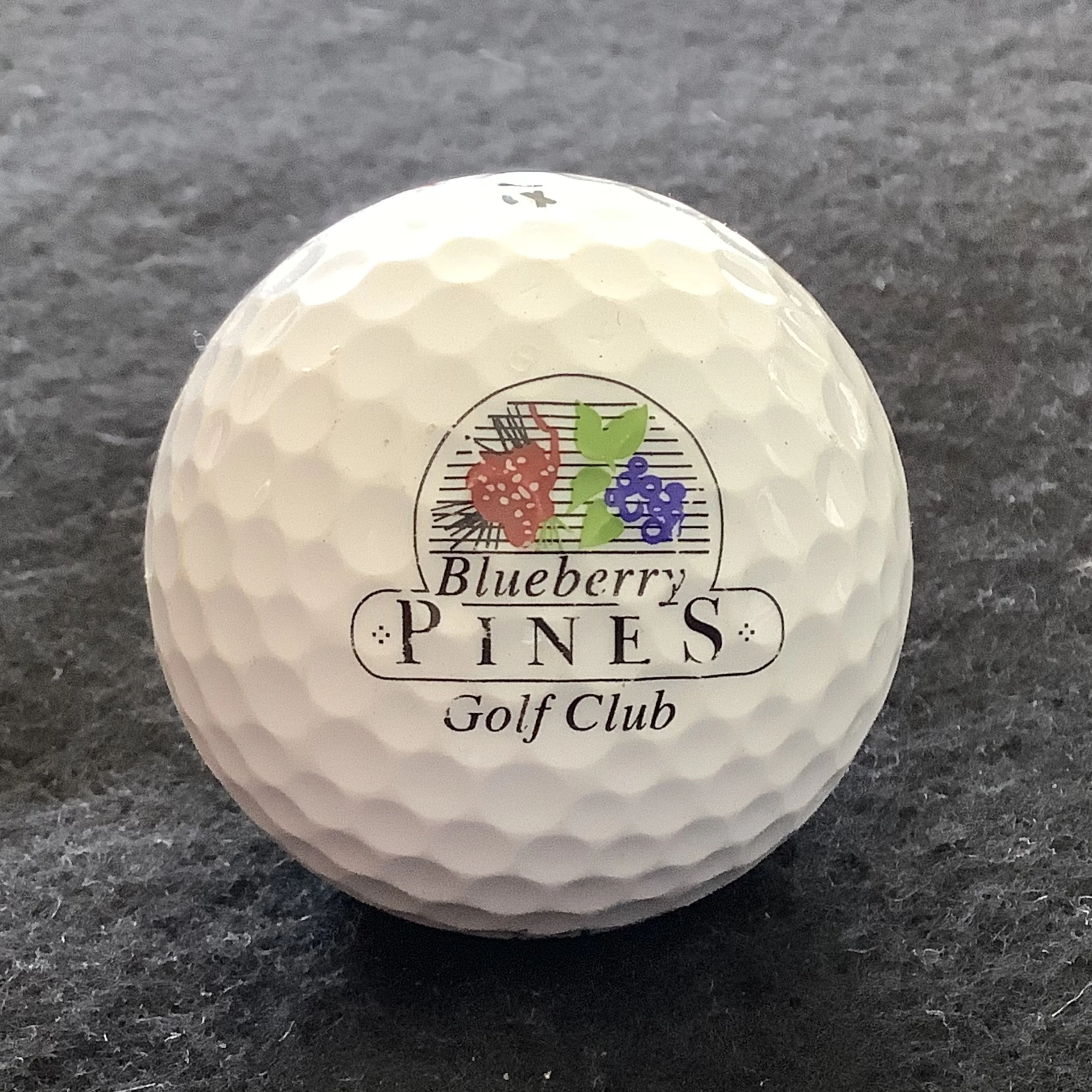 Blueberry Pines Golf Club 