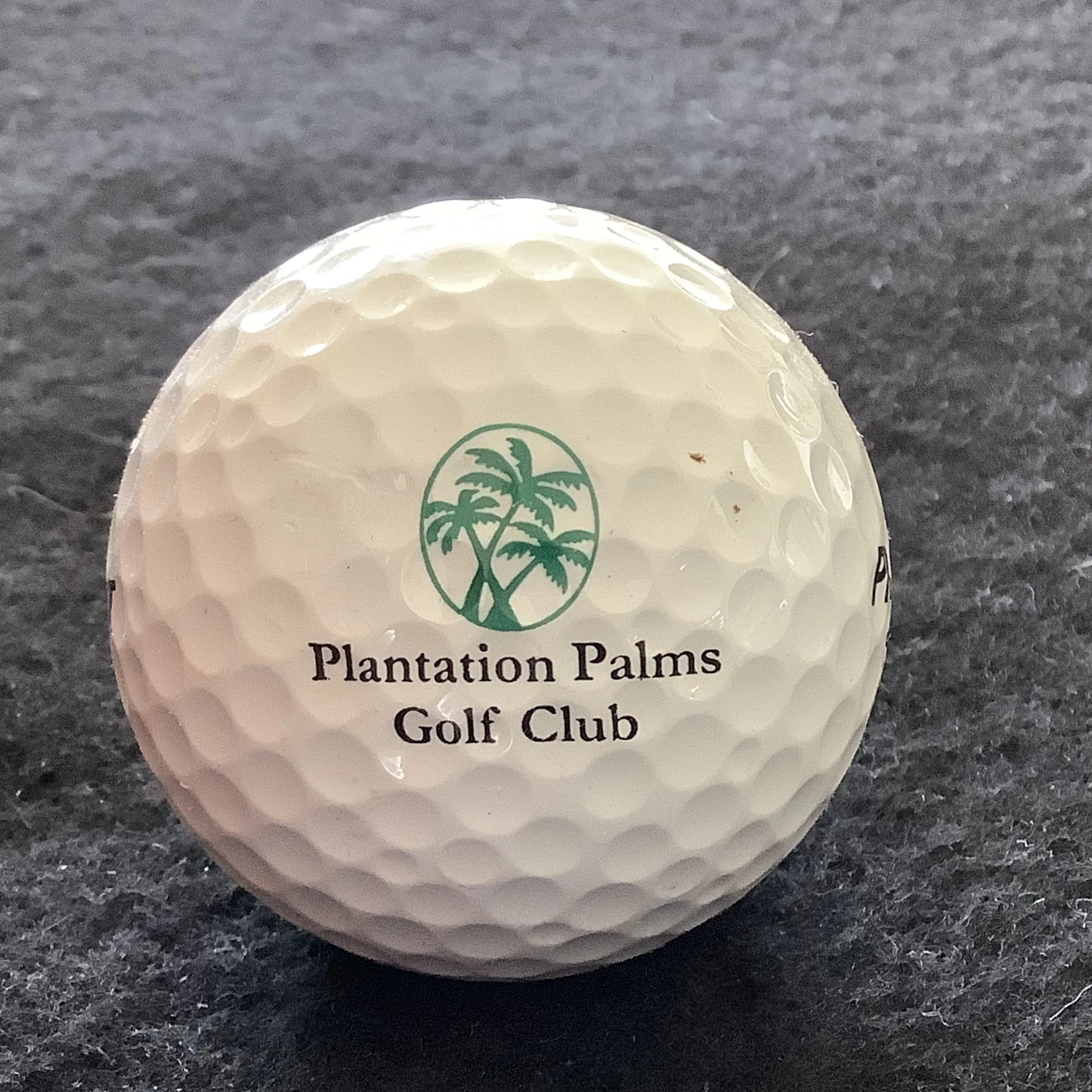 Plantation Palms Golf Club 