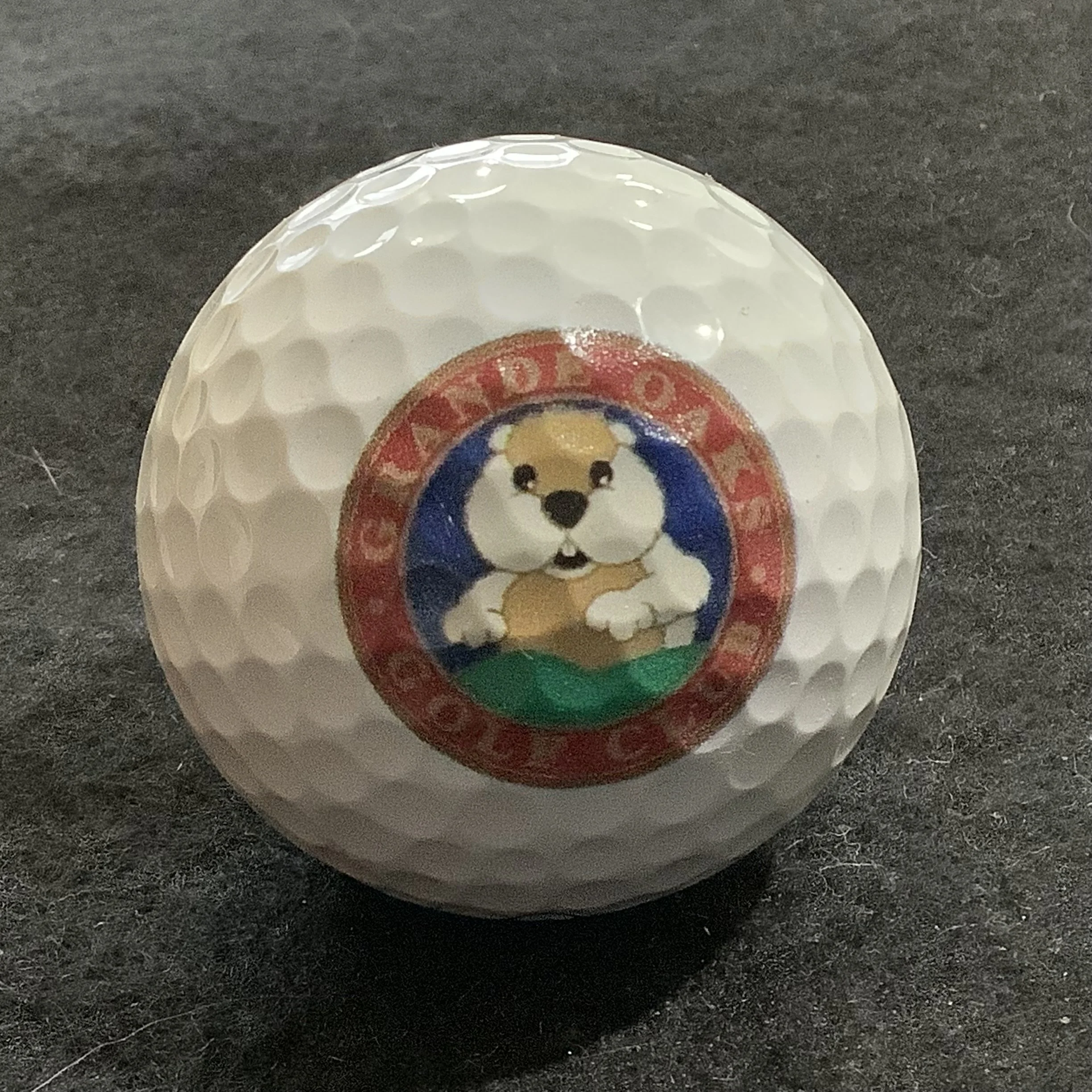 Grande Oaks Golf Club 