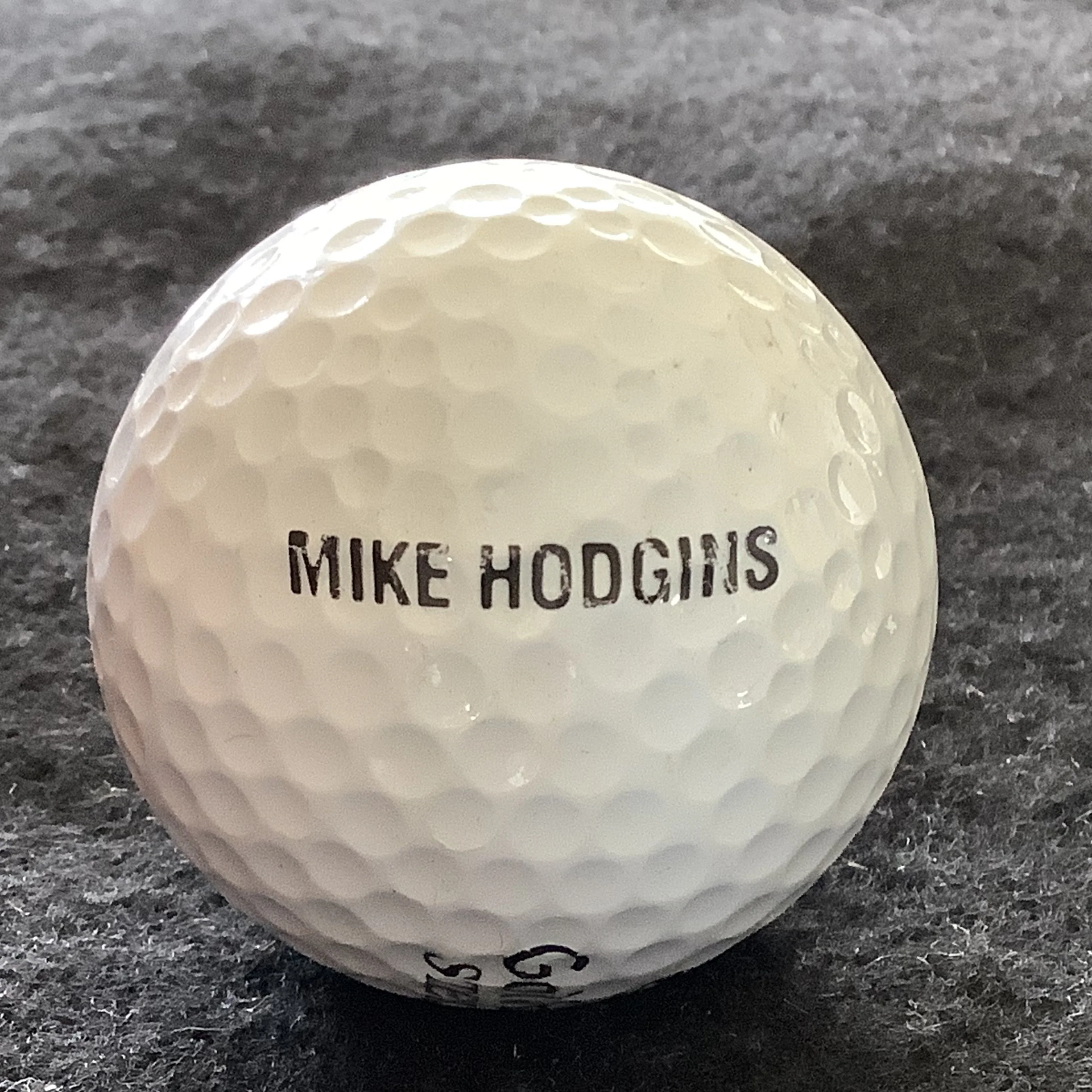 Mike Hodgins
