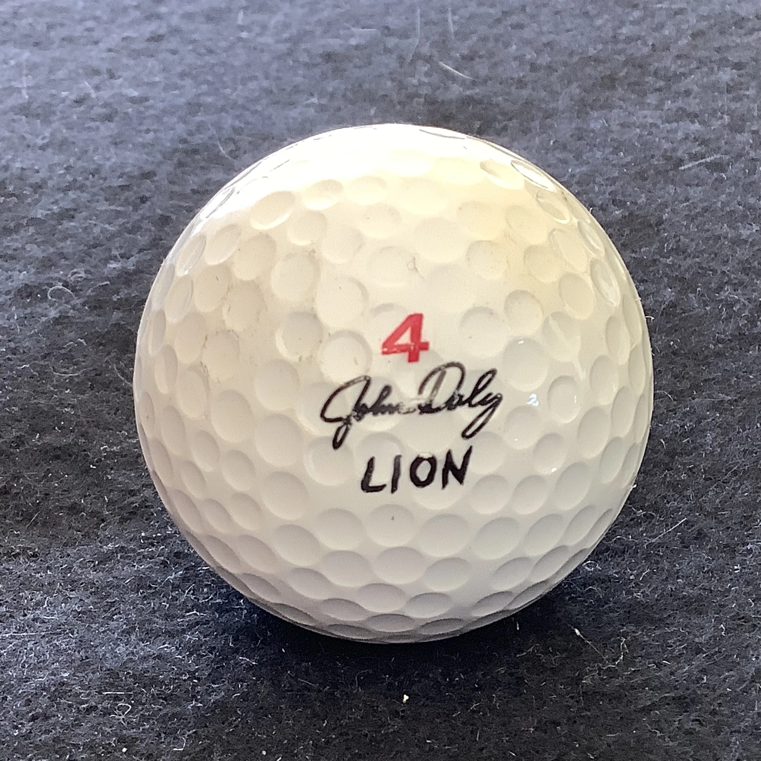 John Daly - Lion