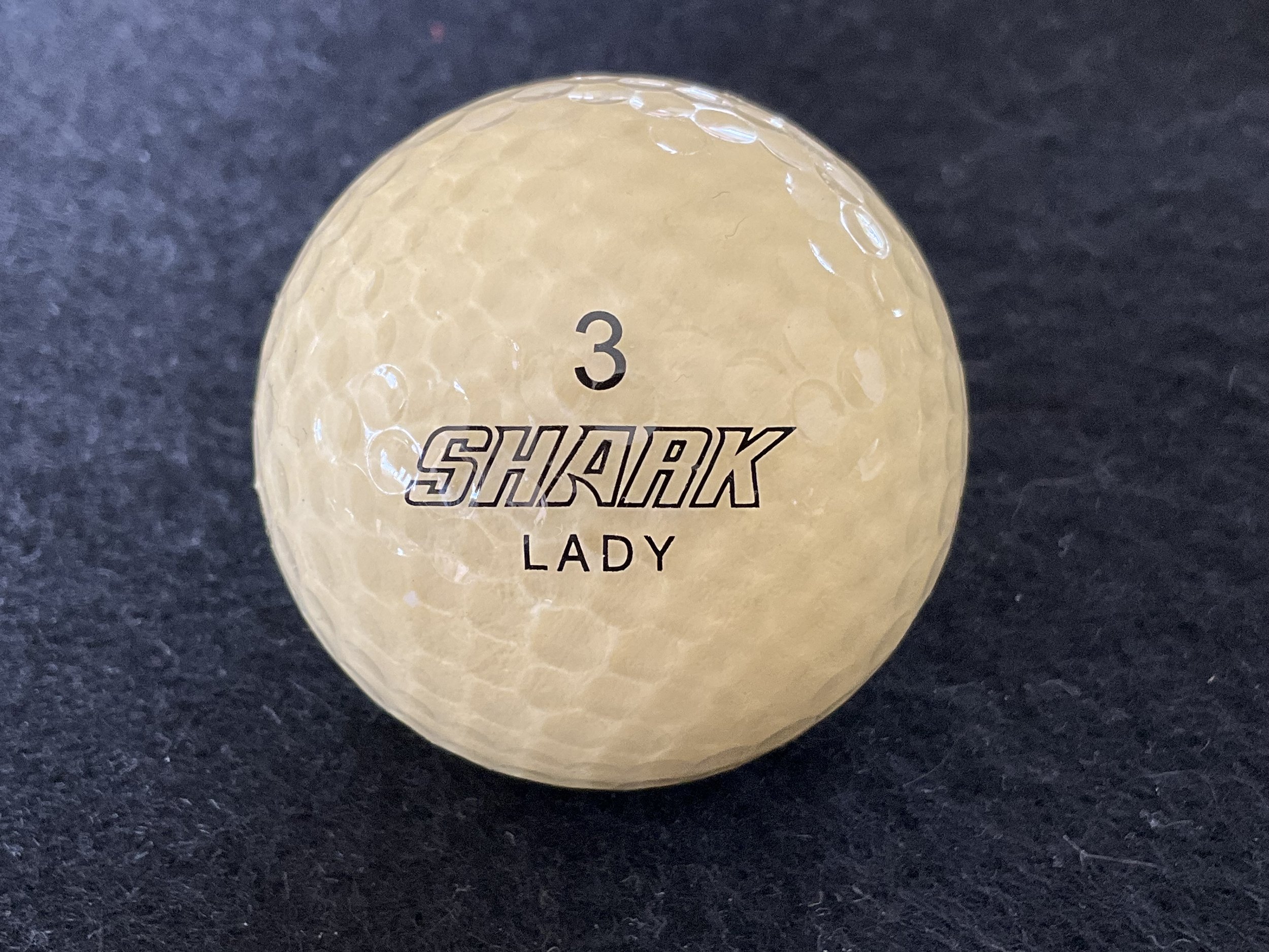 Shark - Lady