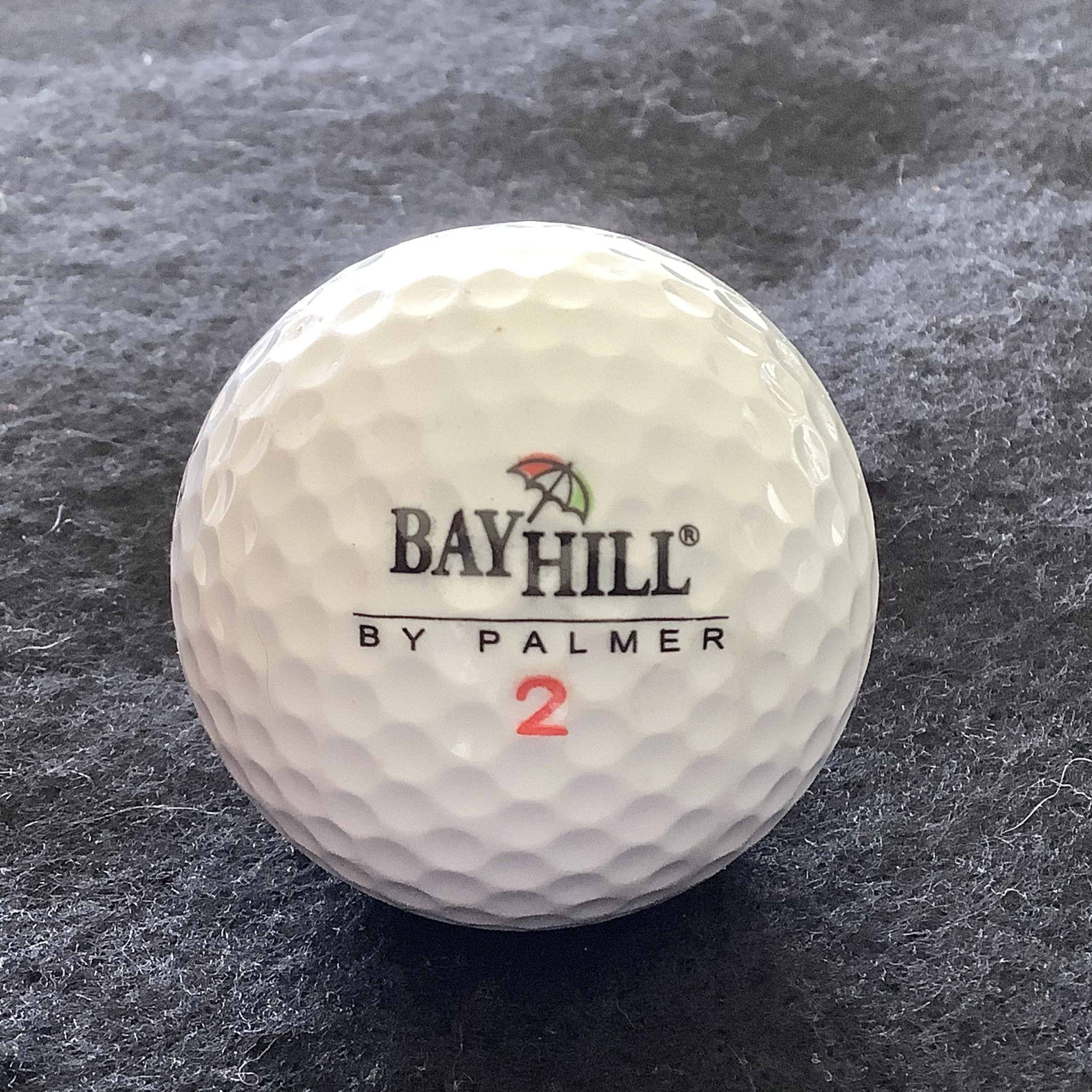 Bay Hill Golf Course by Palmer